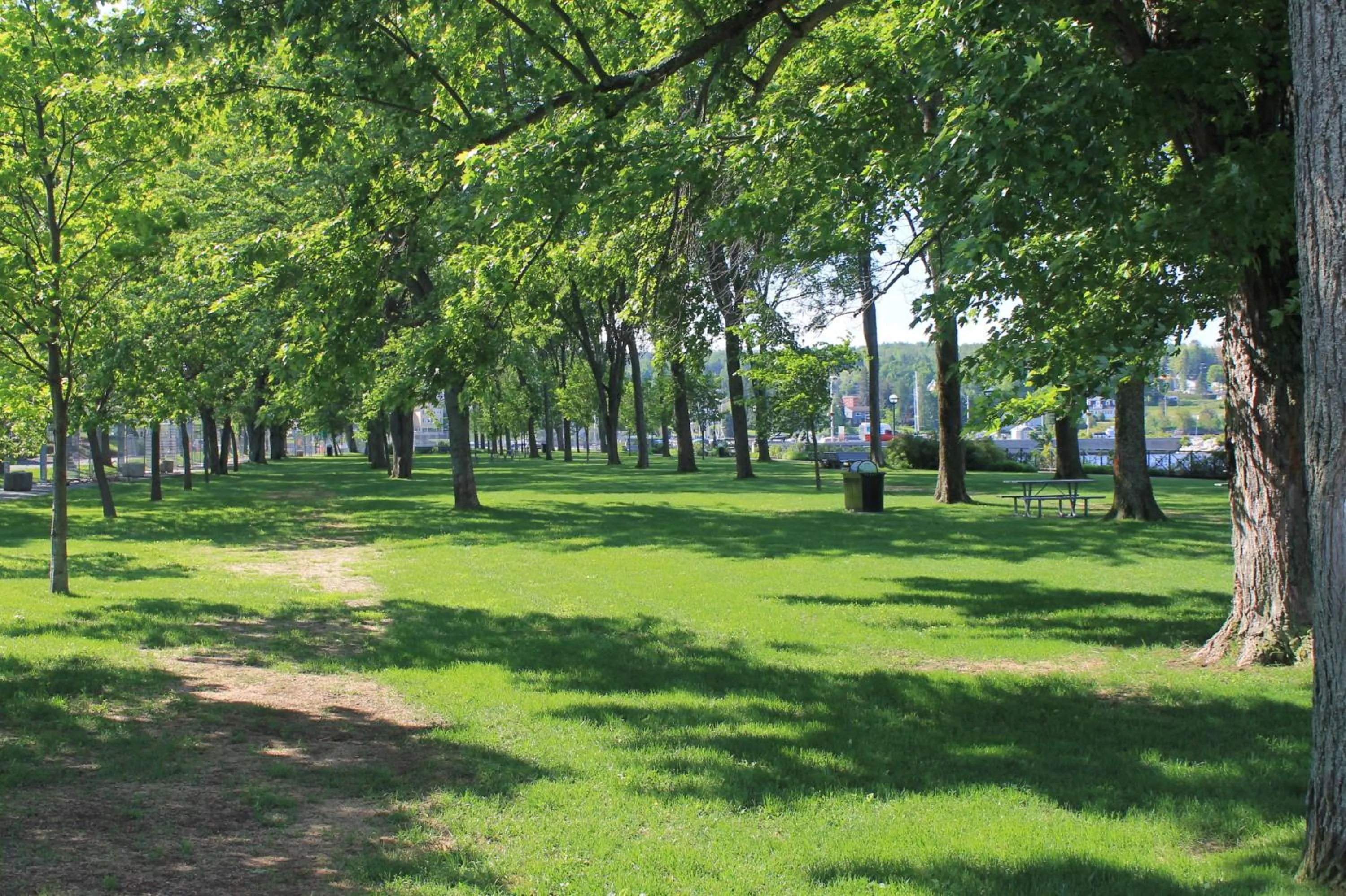 Natural landscape in Aux Retrouvailles spa à l'année
