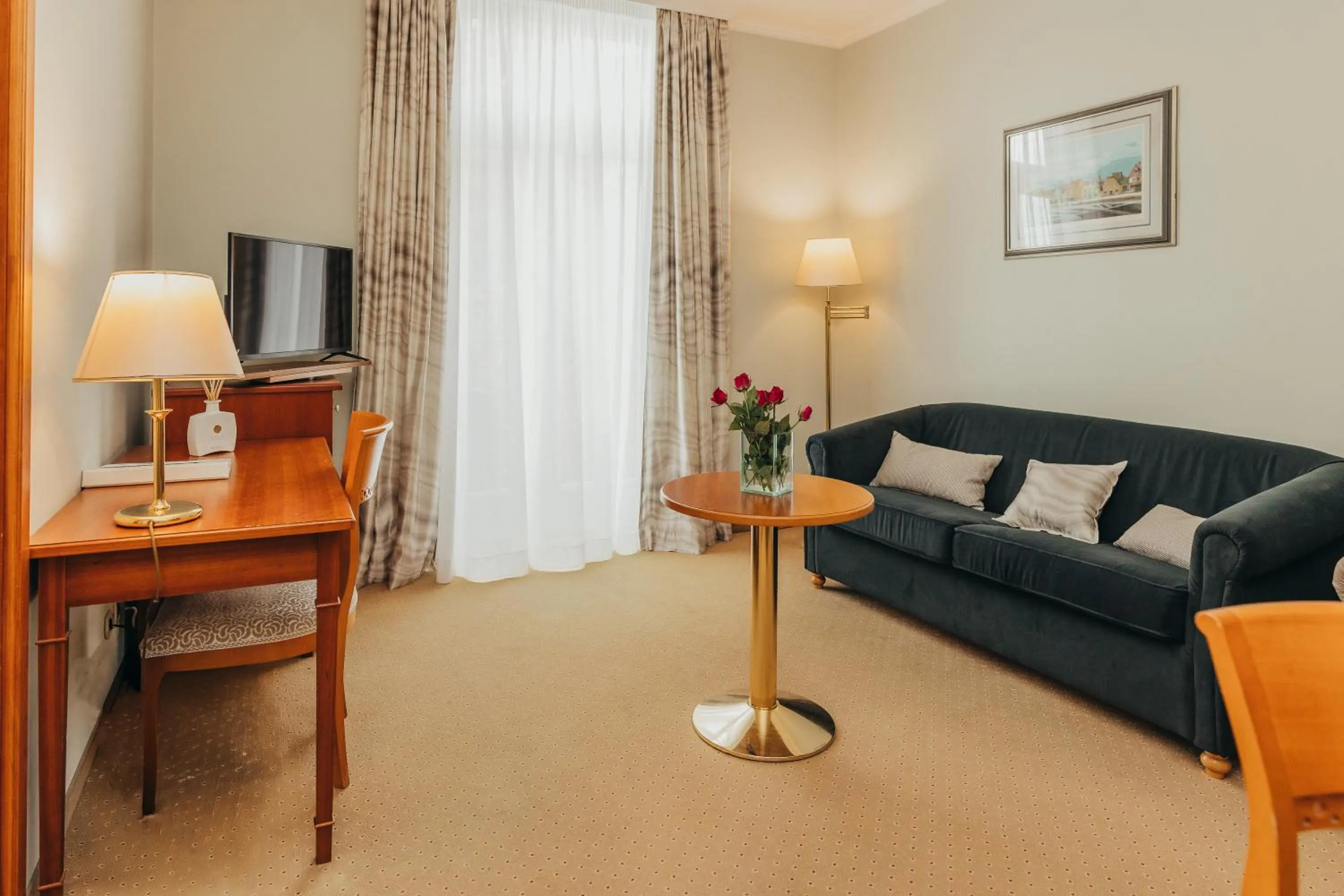 TV and multimedia in Boutique Hotel Korana Srakovcic