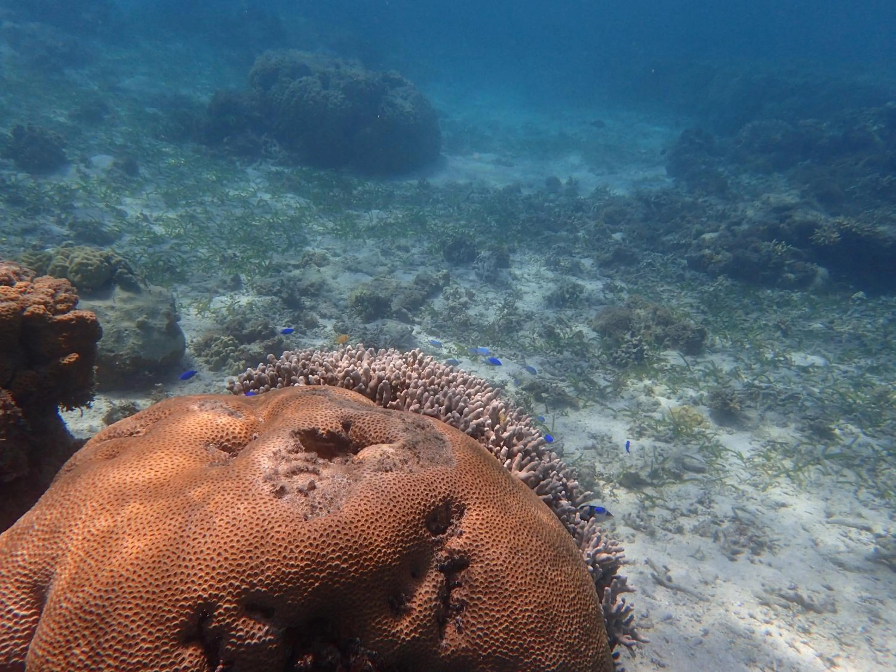 Snorkeling in Seaside KLATCH -Villa&sauna-