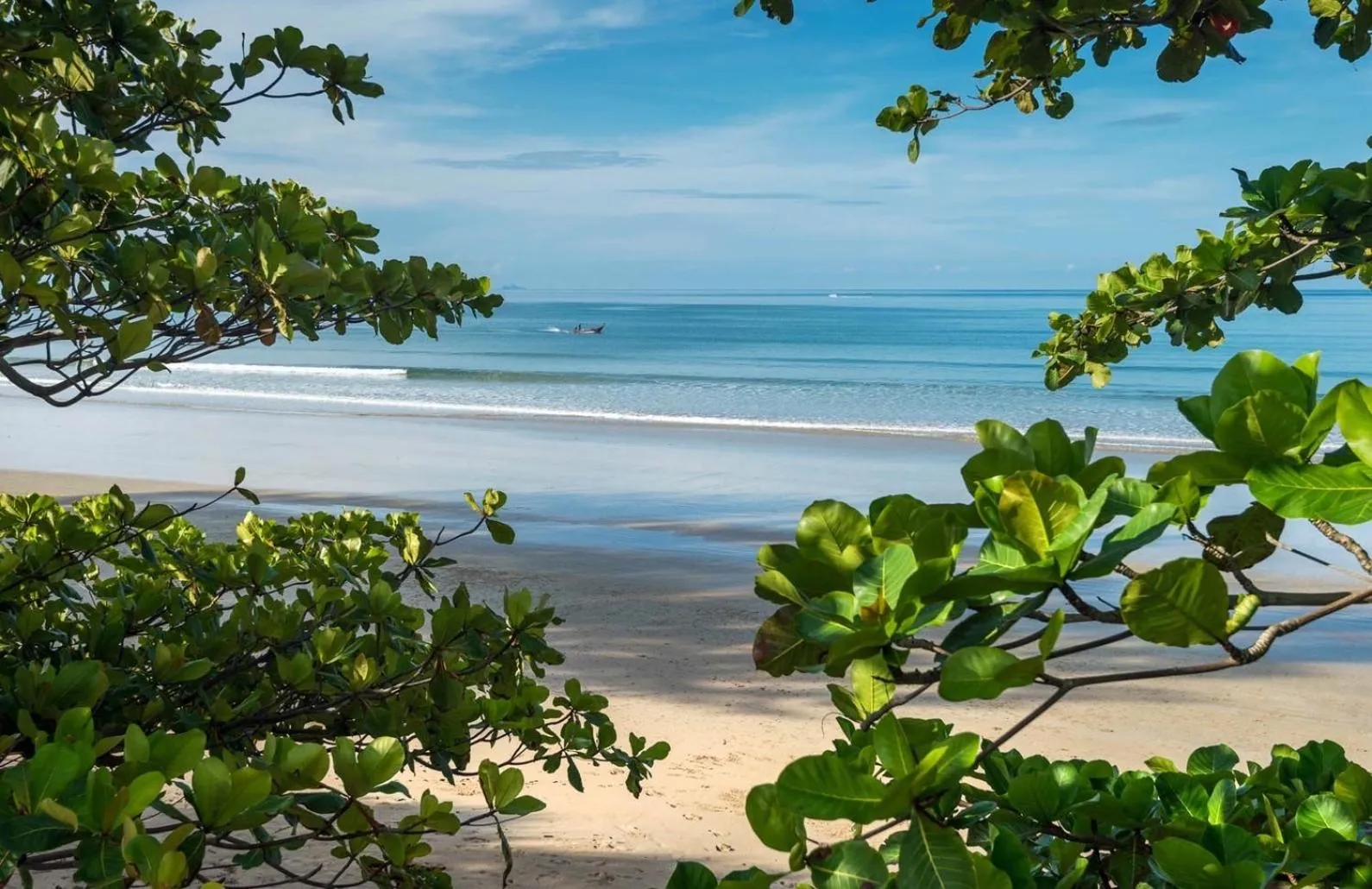 Natural landscape in Klongdao Sunset Villa