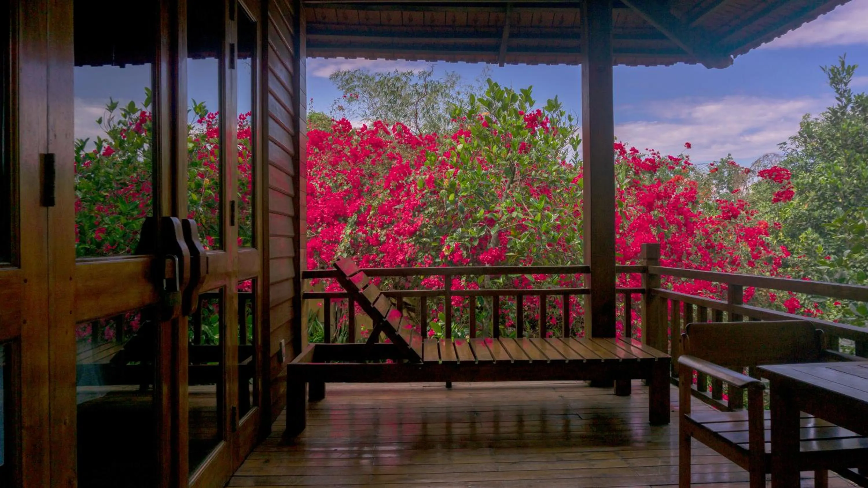 View (from property/room) in Mango Beach Resort