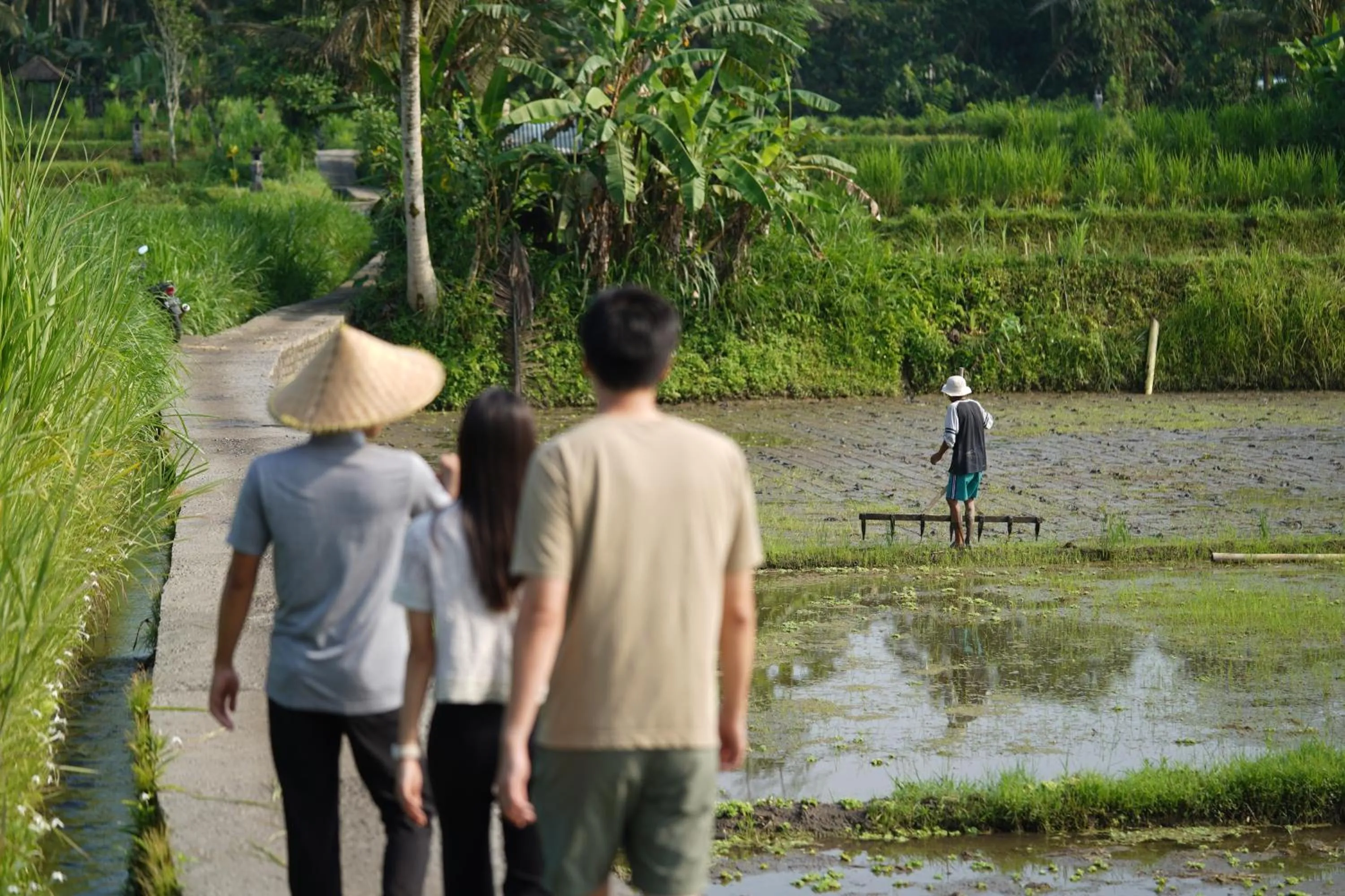 Activities in Hoshinoya Bali