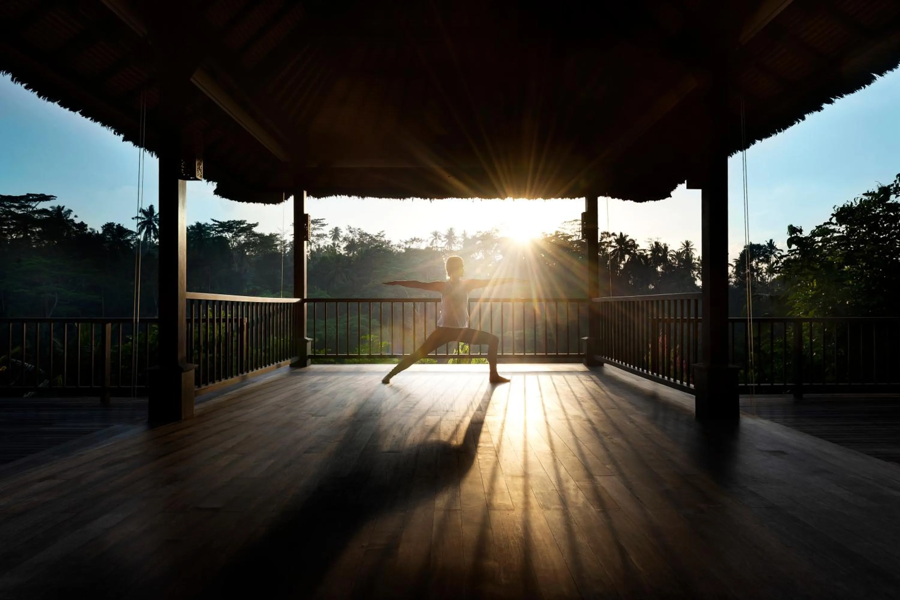 Spa and wellness centre/facilities in Hoshinoya Bali