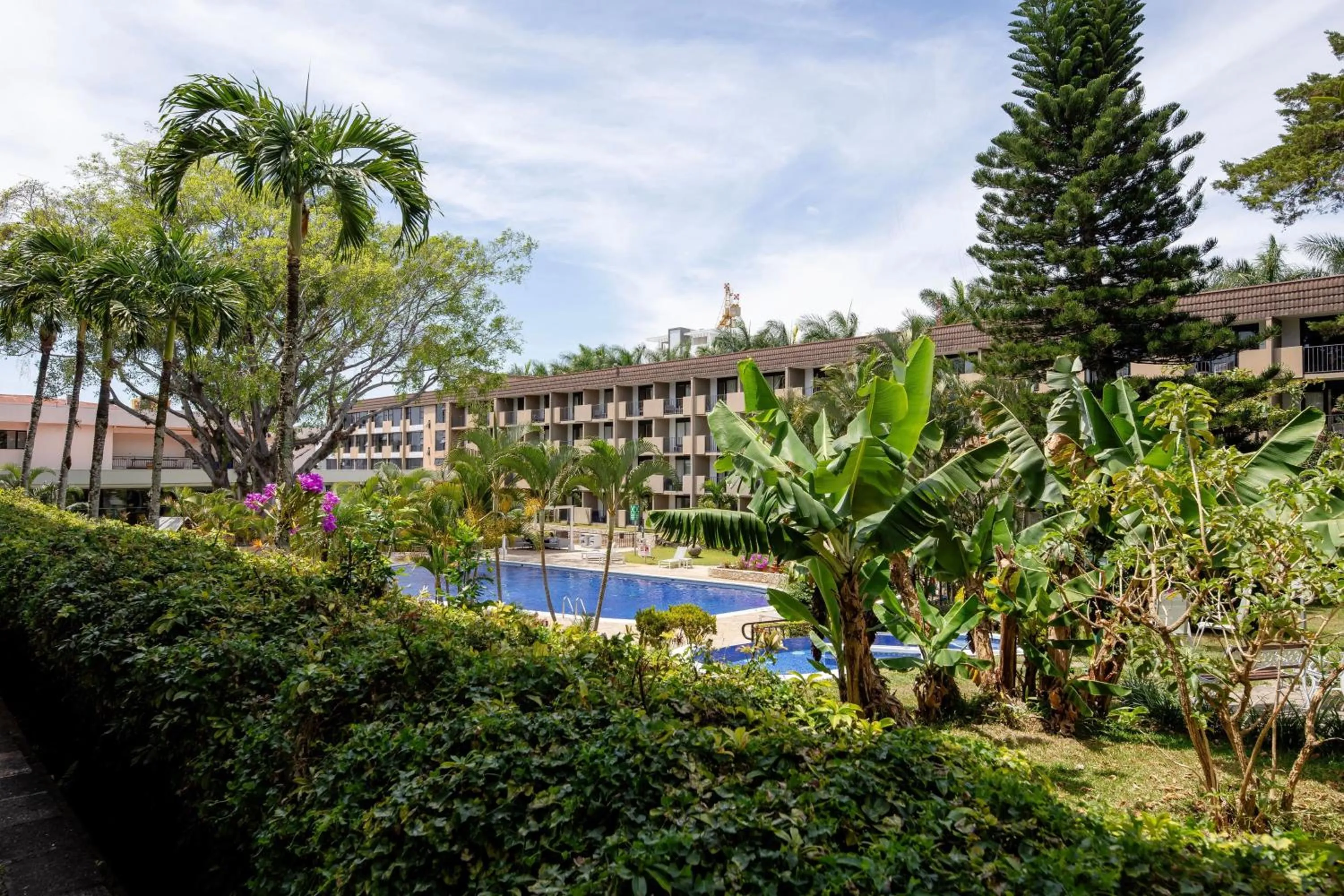 Photo of the whole room in Holiday Inn San Jose La Sabana by IHG