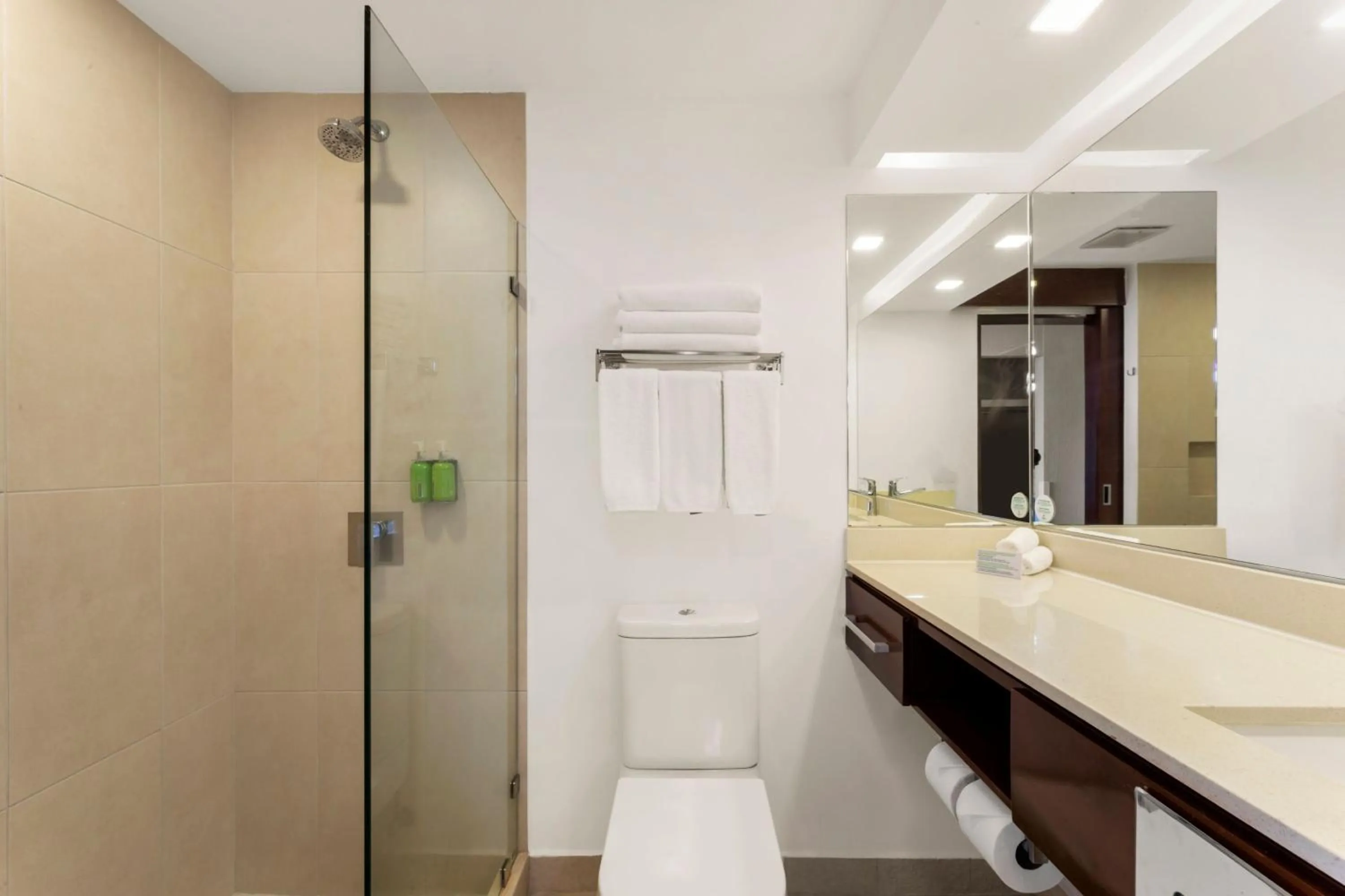 Bathroom in Holiday Inn San Jose La Sabana by IHG