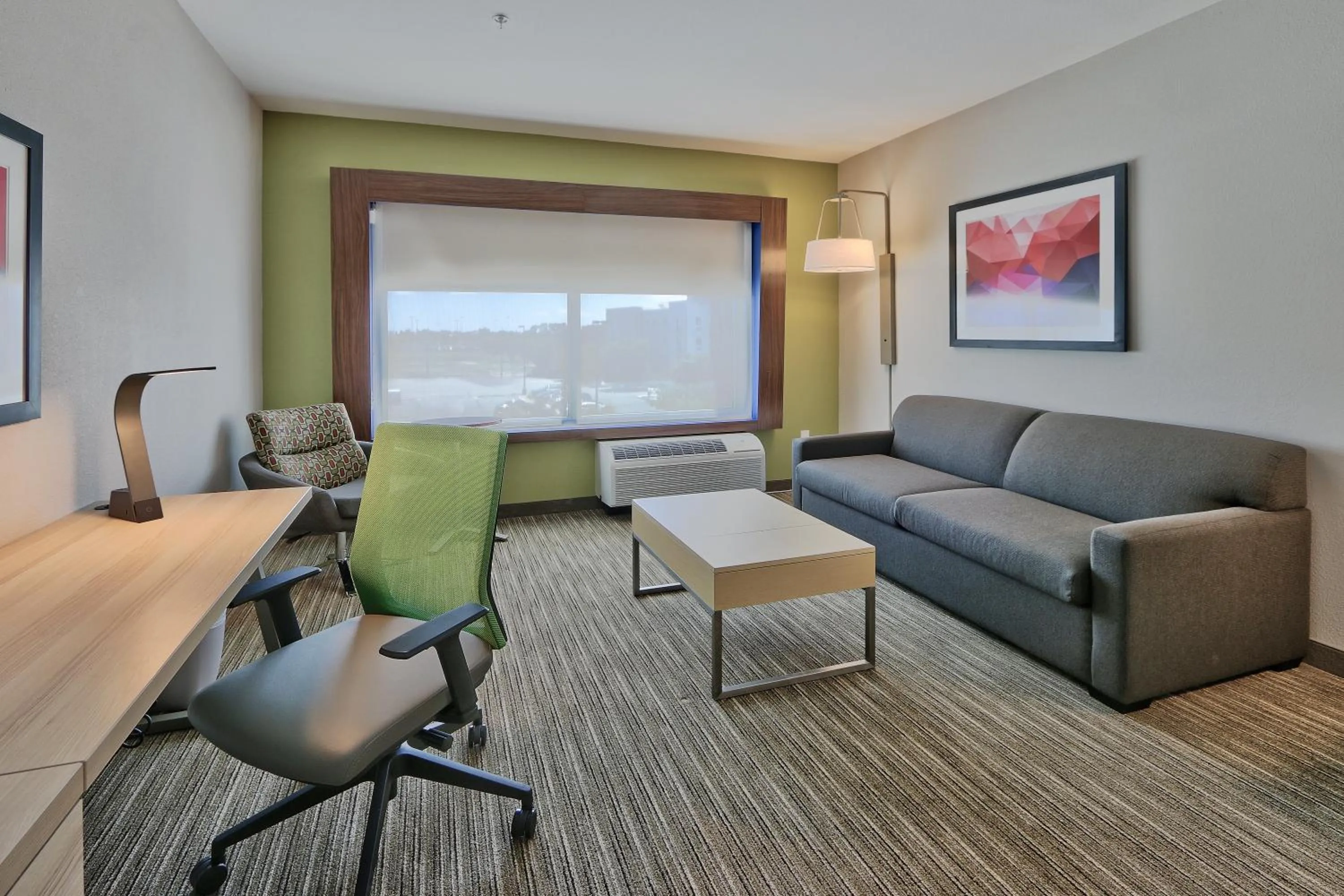 Photo of the whole room in Holiday Inn Express & Suites - Roswell by IHG