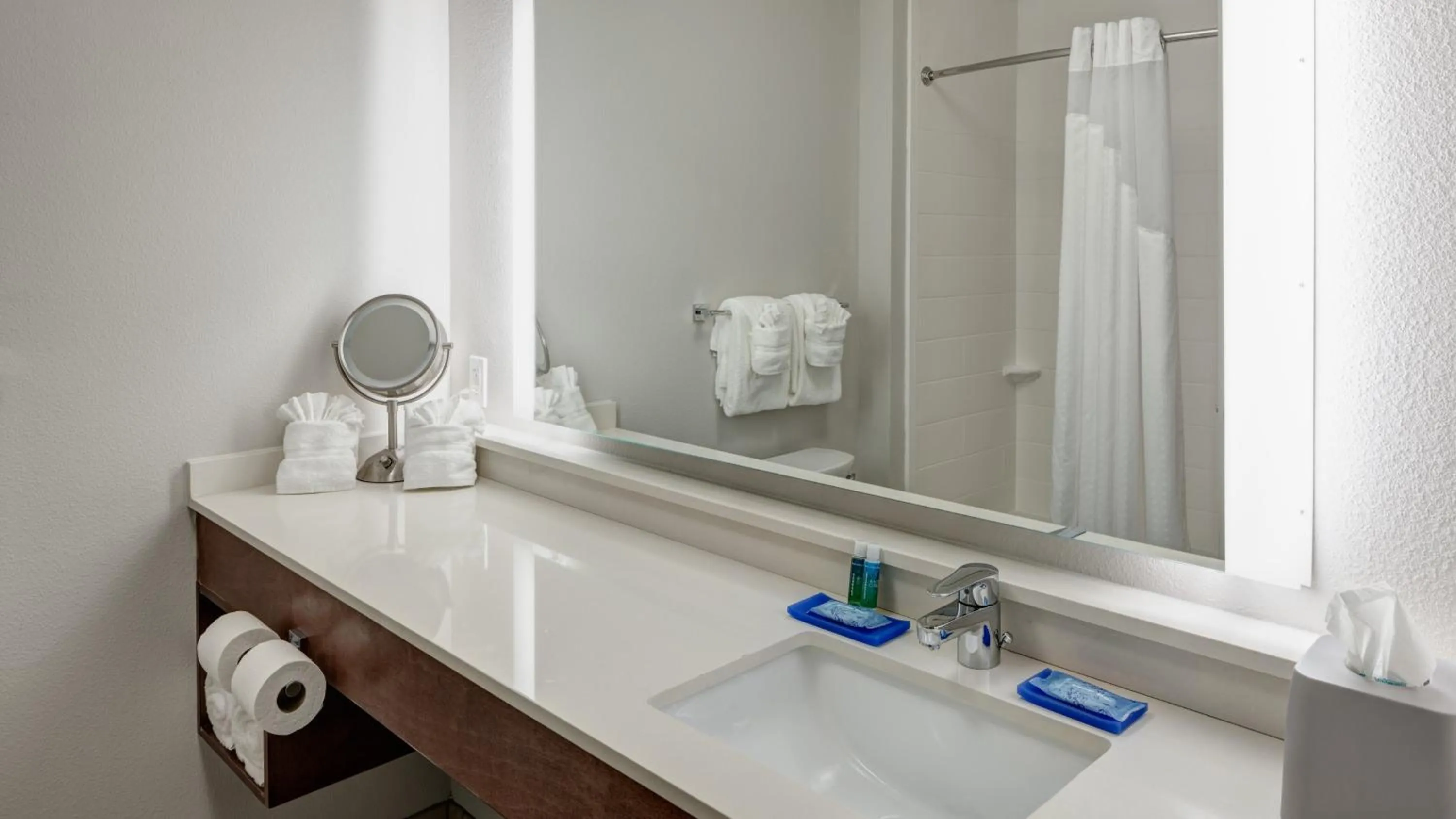 Bathroom in Holiday Inn Express & Suites Orlando At SeaWorld by IHG - With Free Shuttle Service to SeaWorld Parks