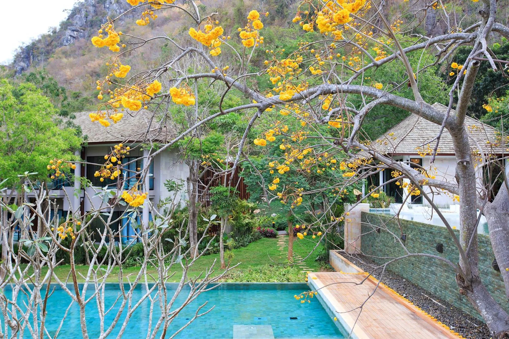 Swimming pool in The Series Resort Khaoyai