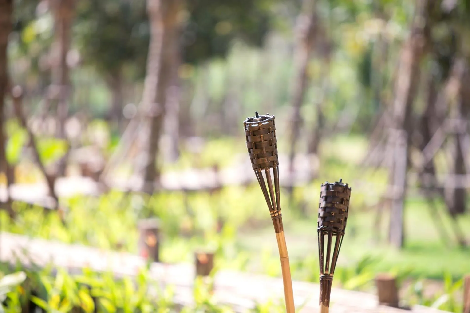 Area and facilities in The Series Resort Khaoyai