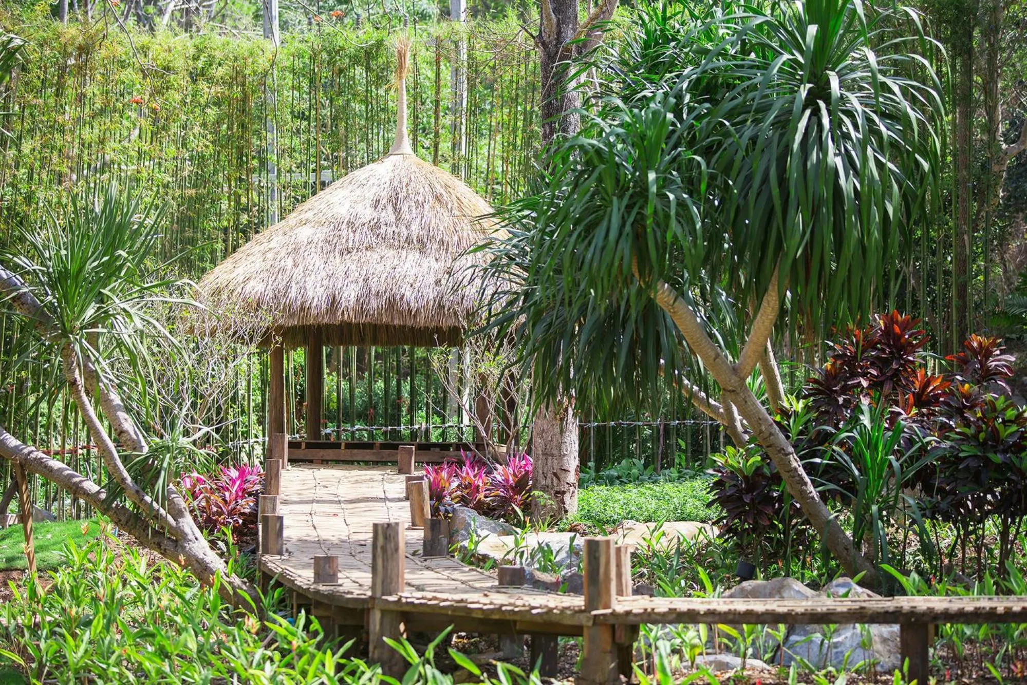 Area and facilities in The Series Resort Khaoyai