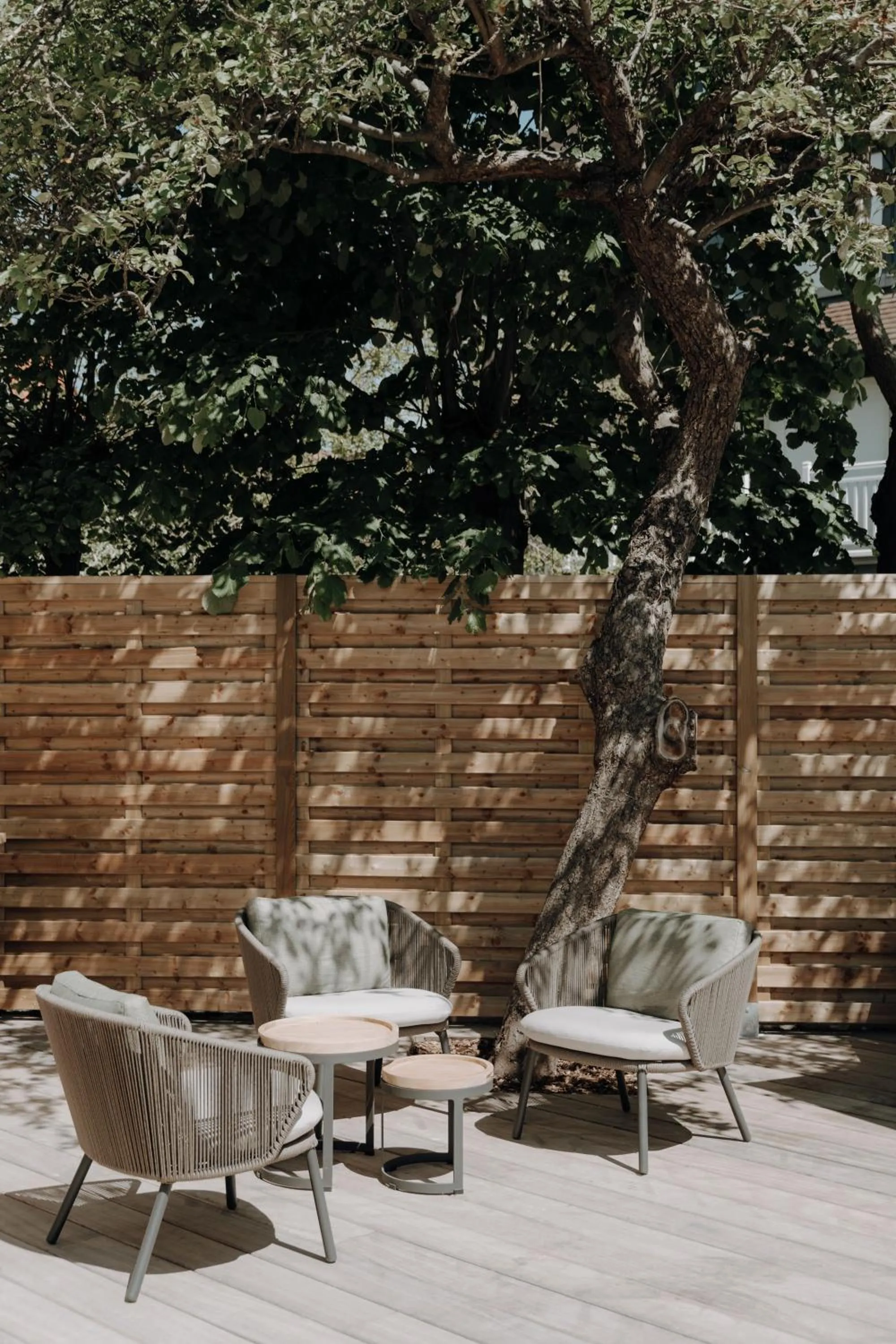 Patio in Hotel Britannia