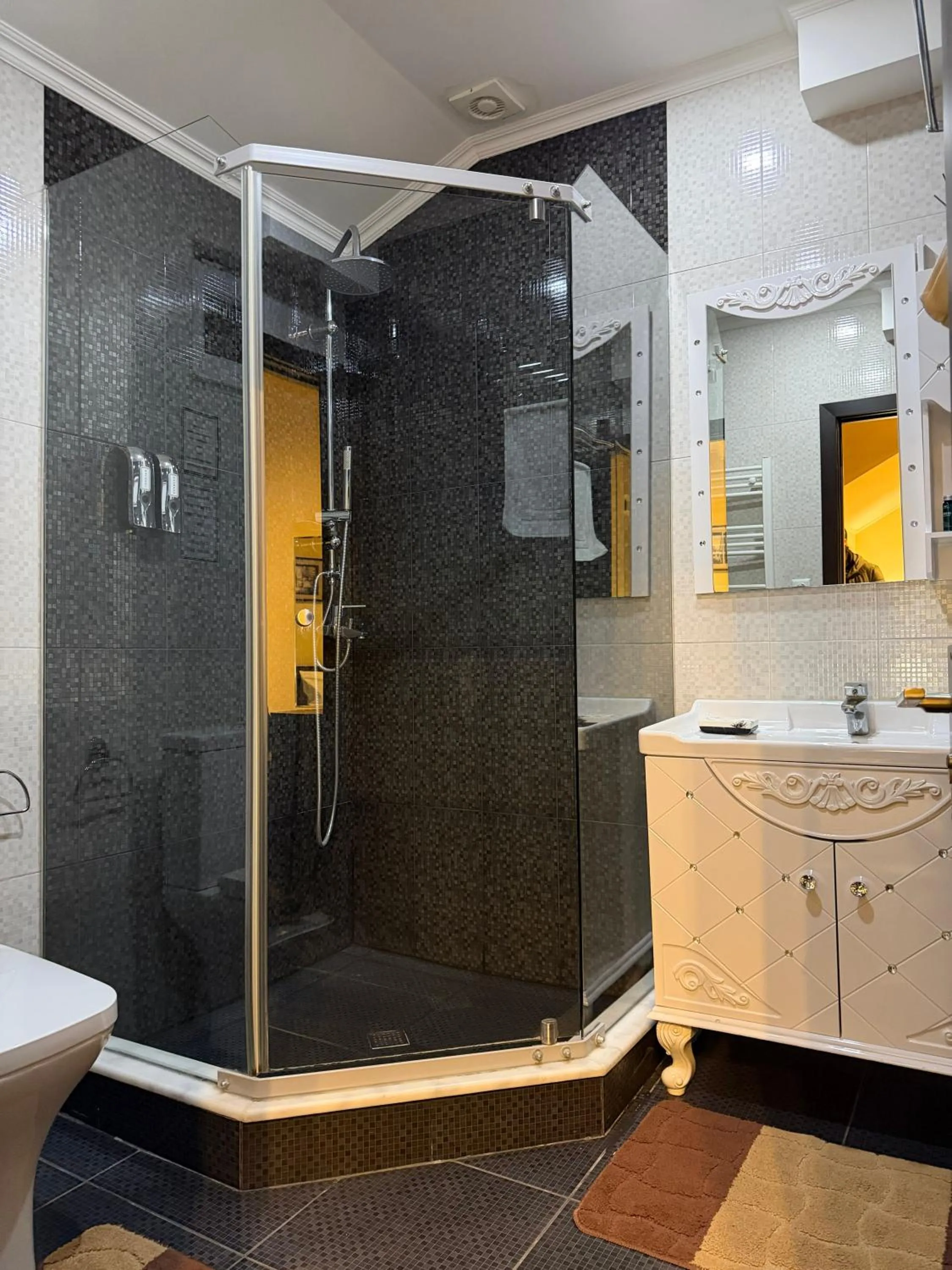 Shower in S&L Boutique Hotel
