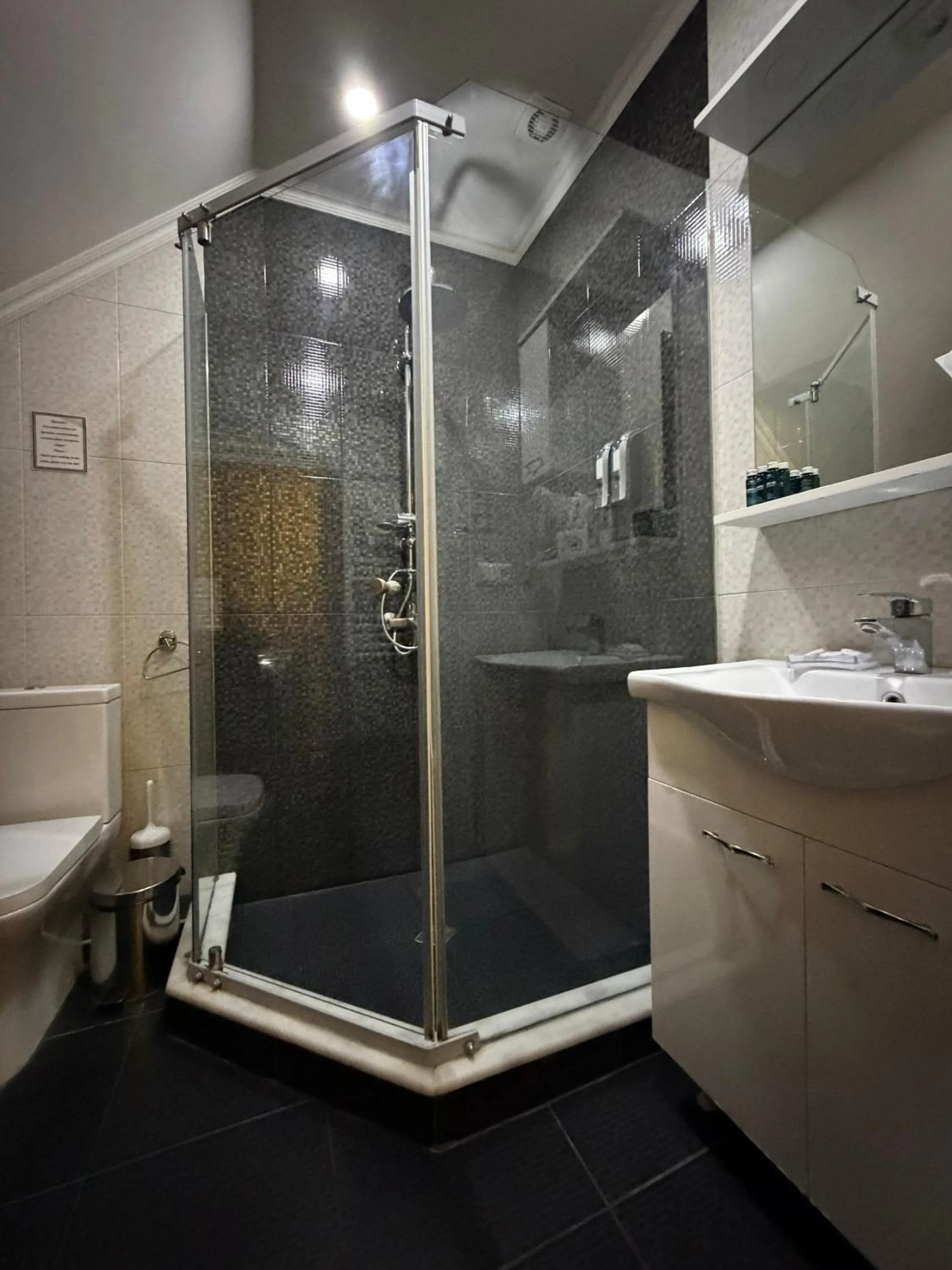 Shower in S&L Boutique Hotel