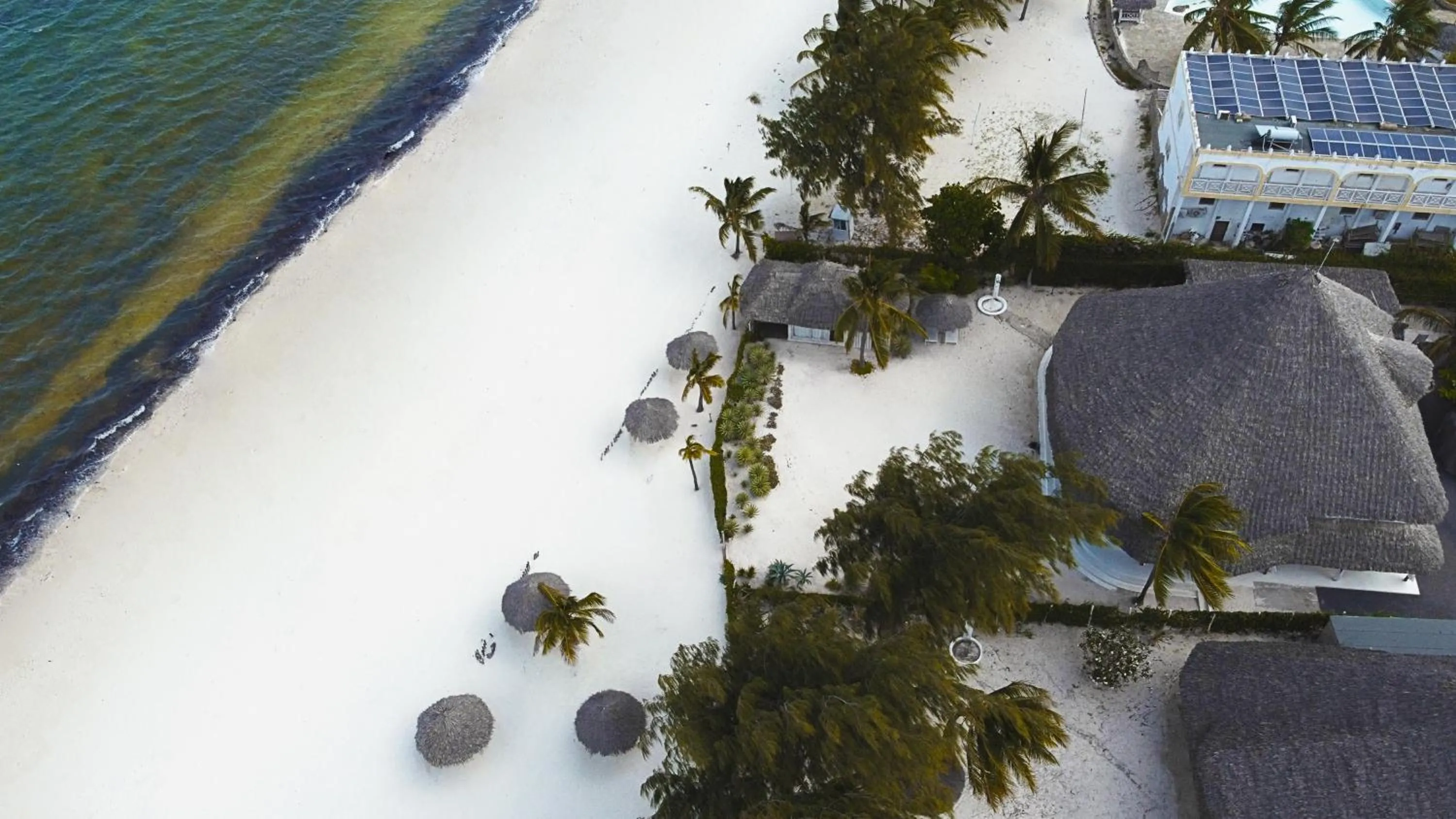 Bird's eye view in Alawi Home