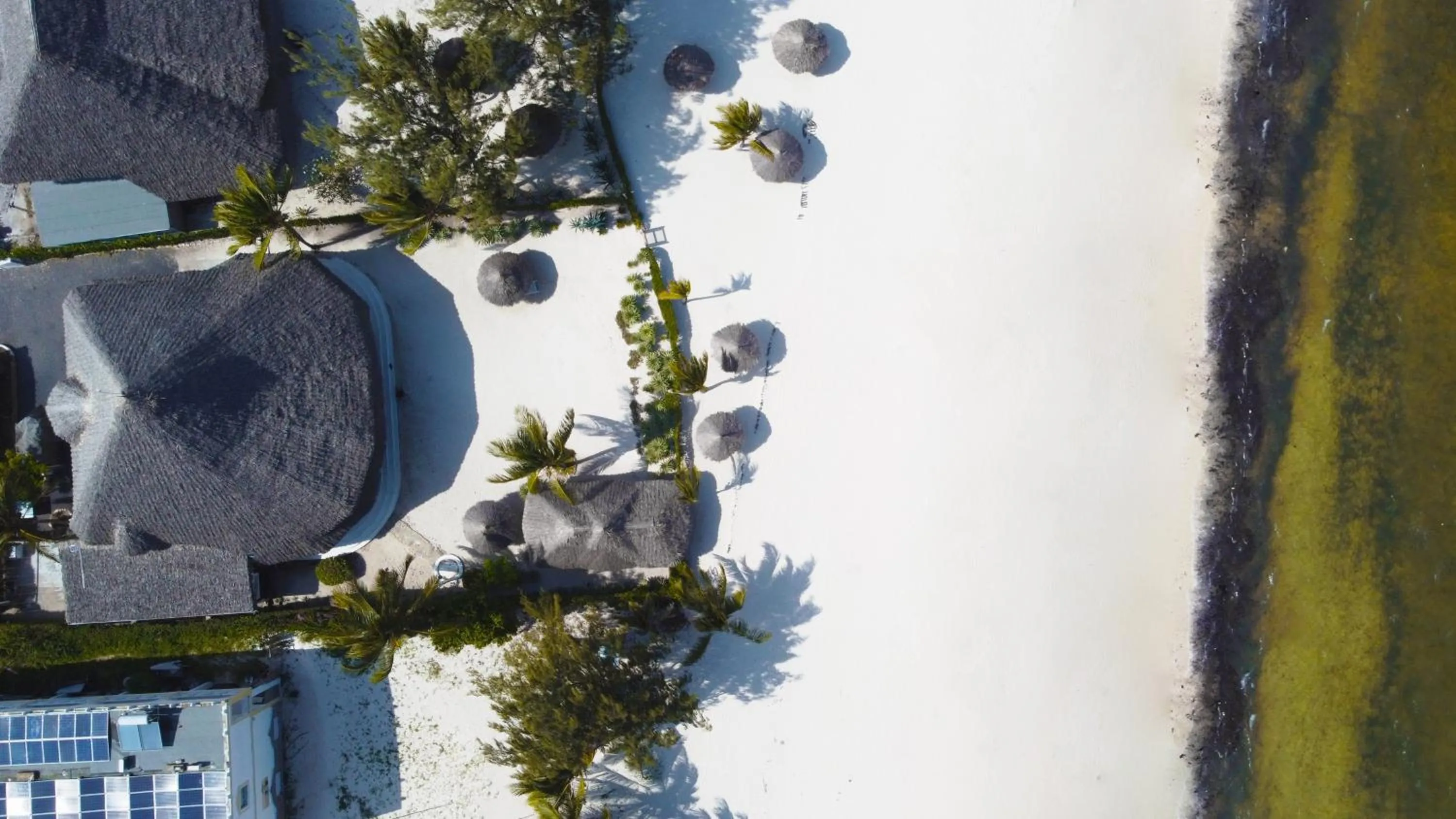 Bird's eye view in Alawi Home