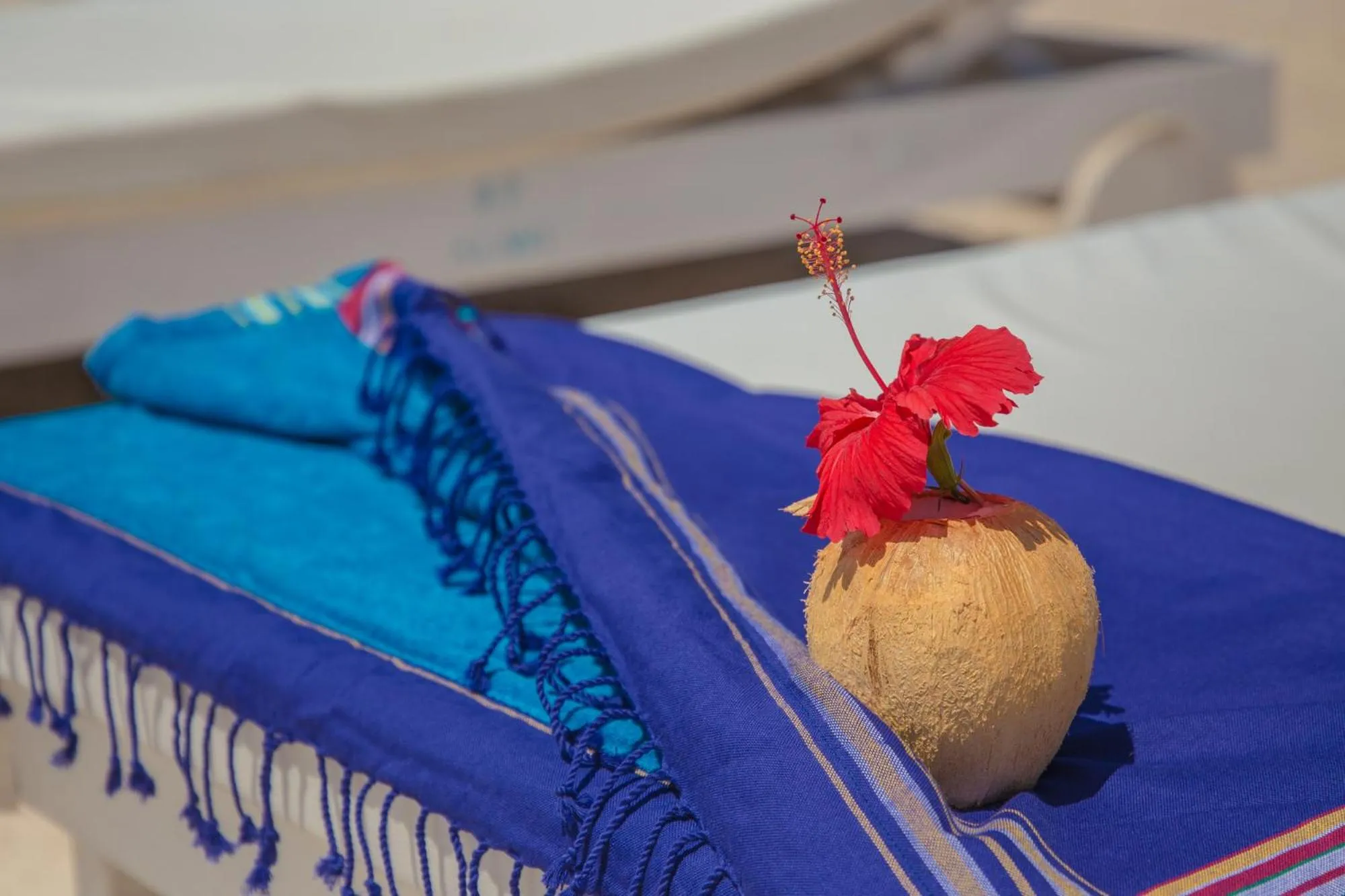 Decorative detail in Alawi Home