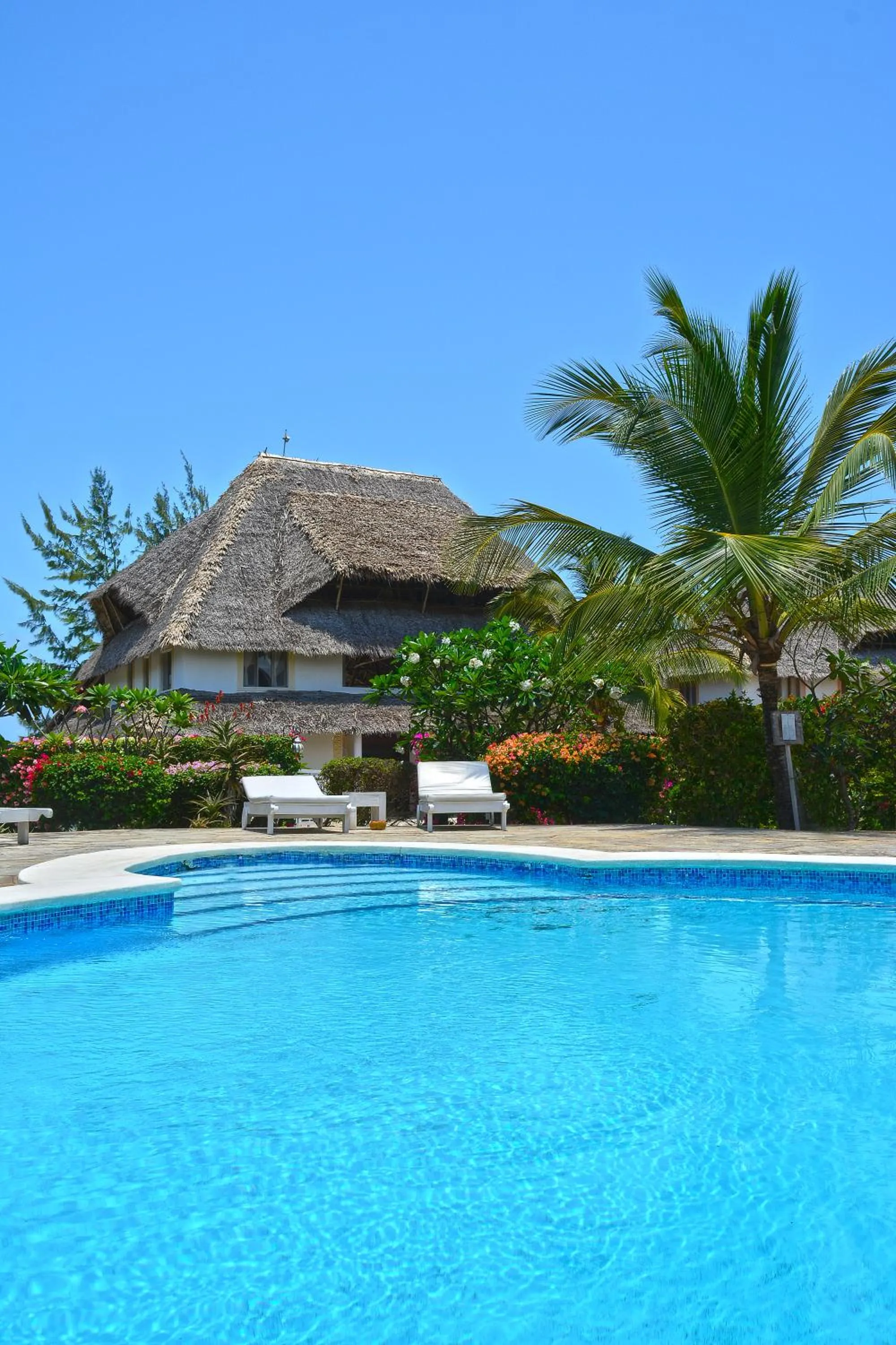 Pool view in Alawi Home