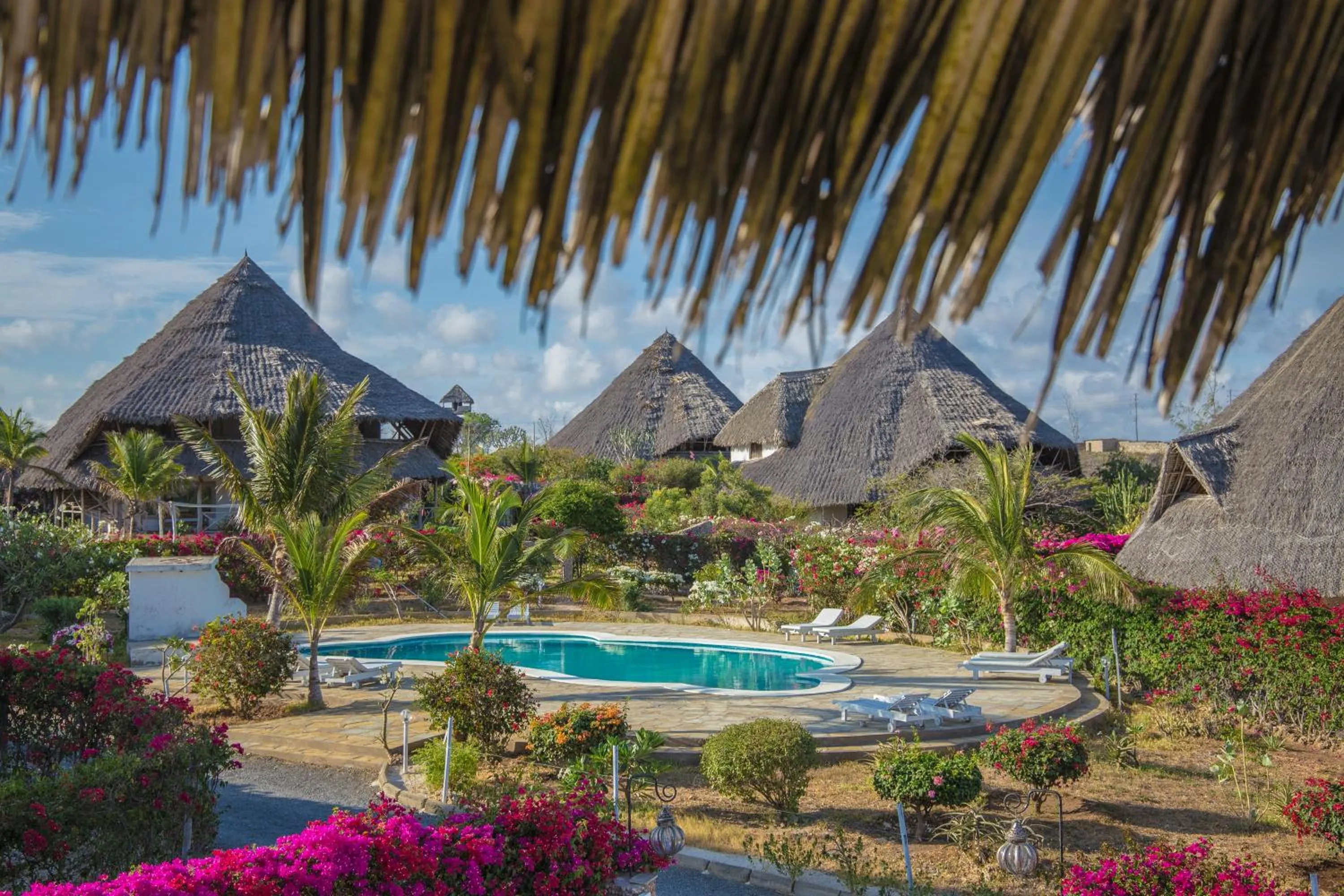 Swimming pool in Alawi Home