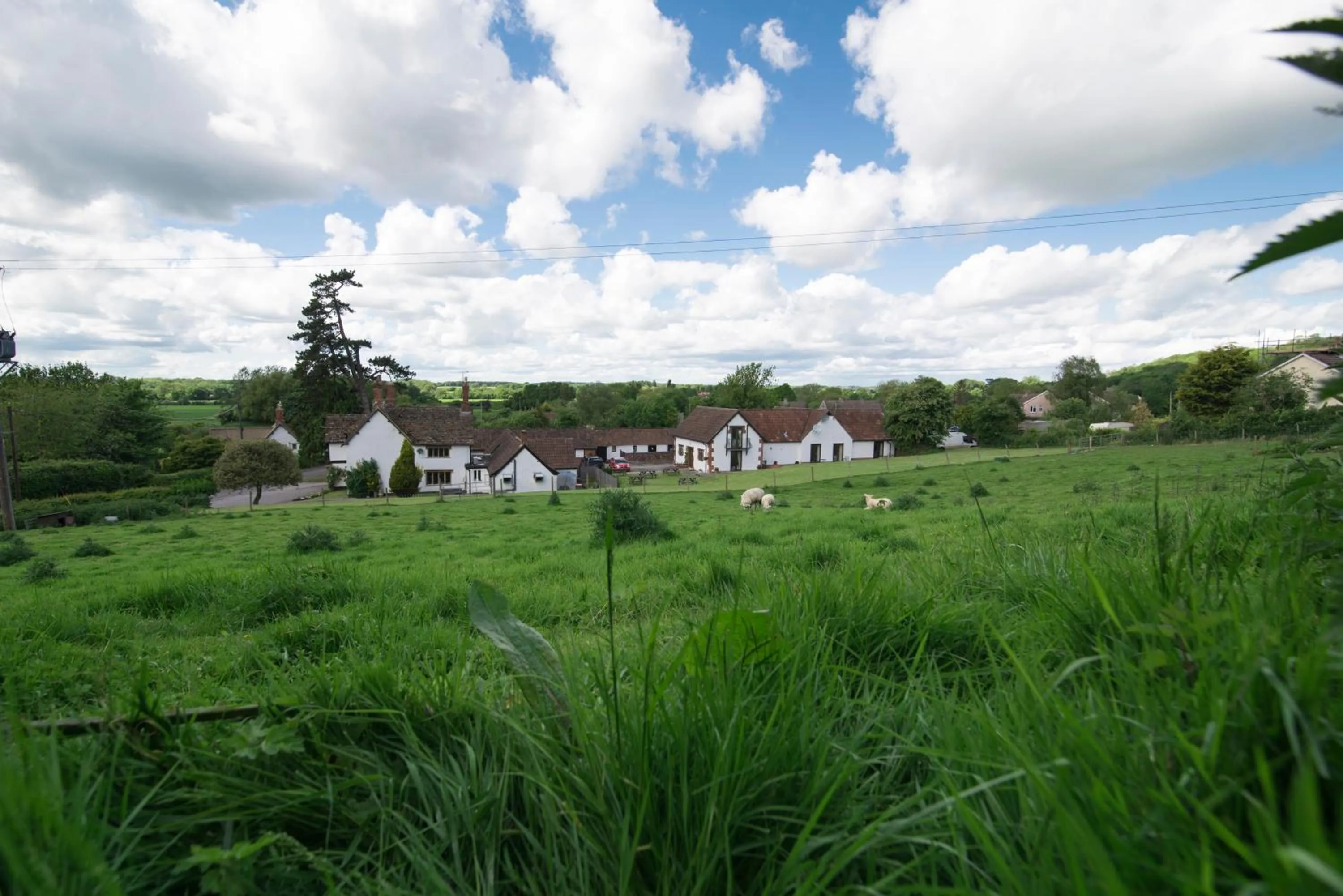 Natural landscape in The White Horse Inn
