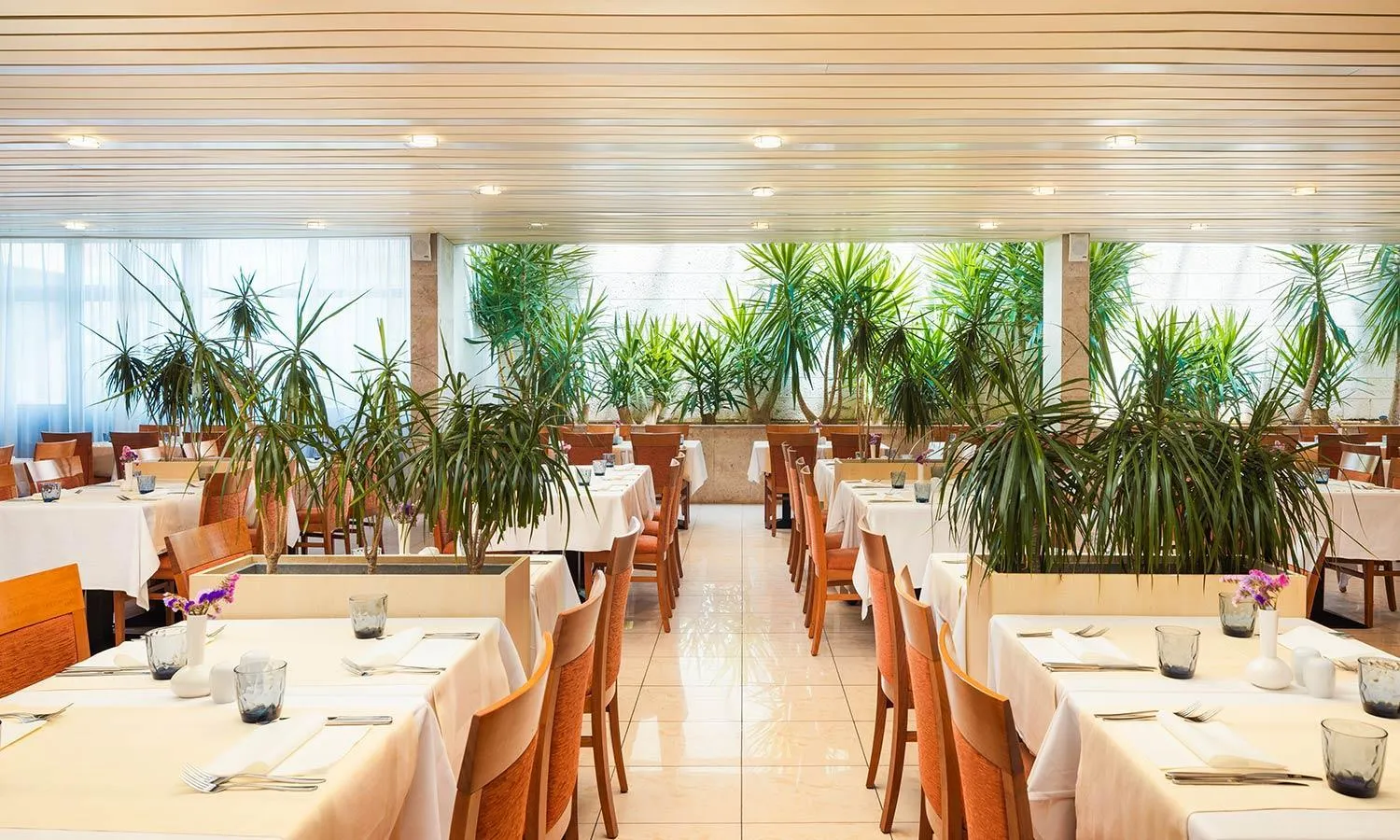 Restaurant/places to eat in Marko Polo Maradiso Hotel by Aminess