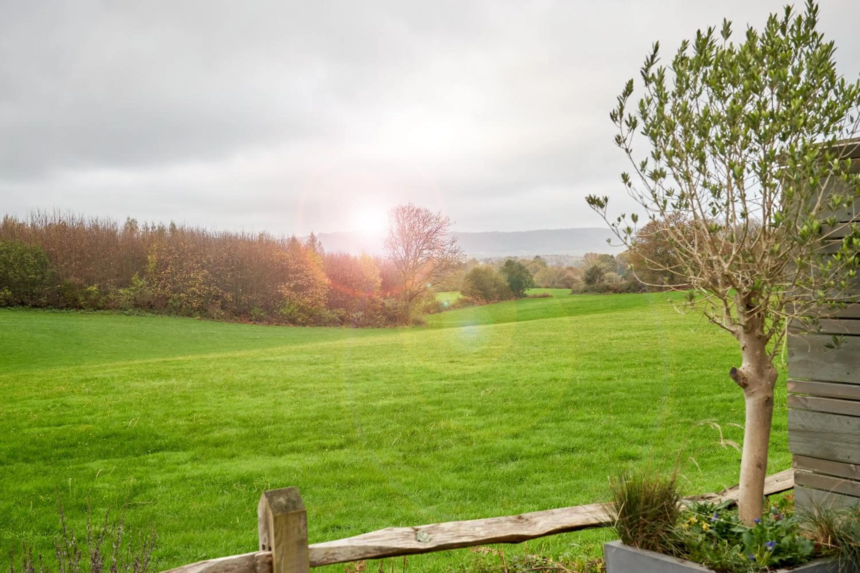 View (from property/room) in The Welldiggers Arms
