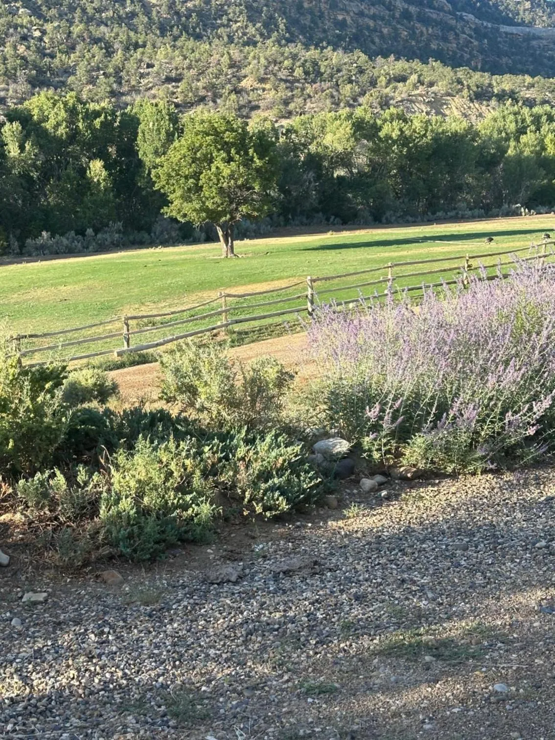 Slot Canyons Inn Bed & Breakfast