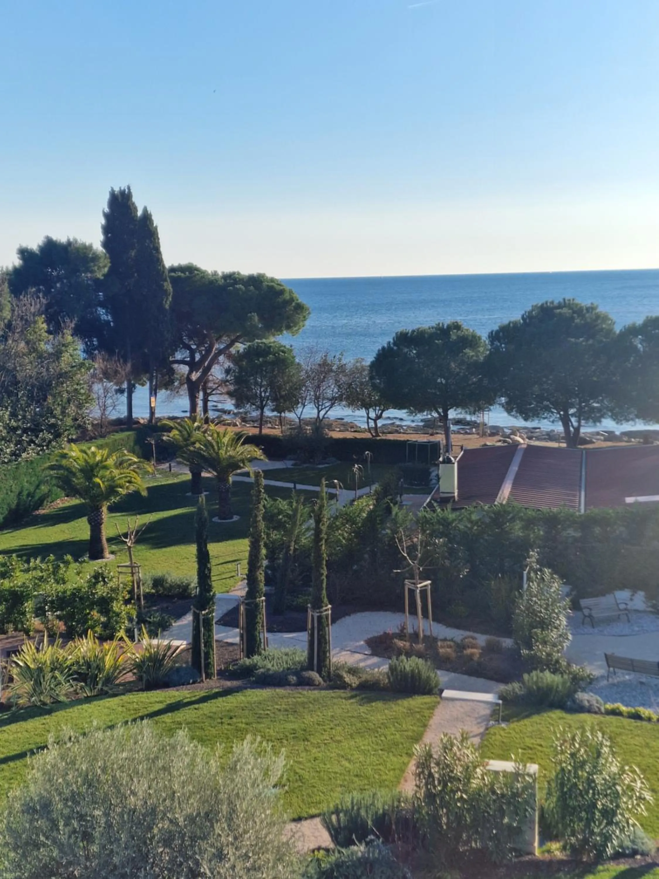 Garden in Hotel Villa Rosetta