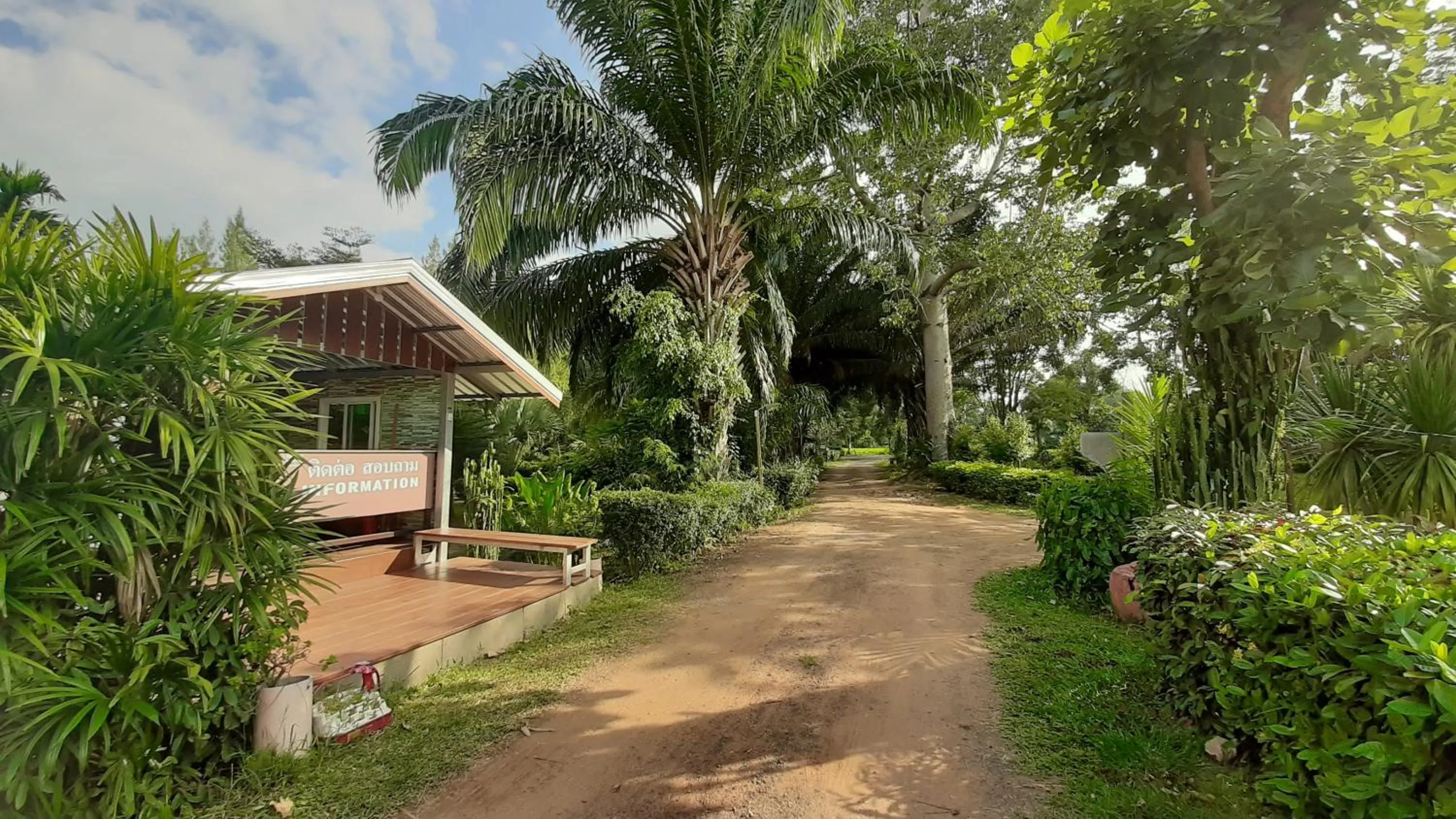 Supermarket/grocery shop in Sawan Srang Nang Kaew