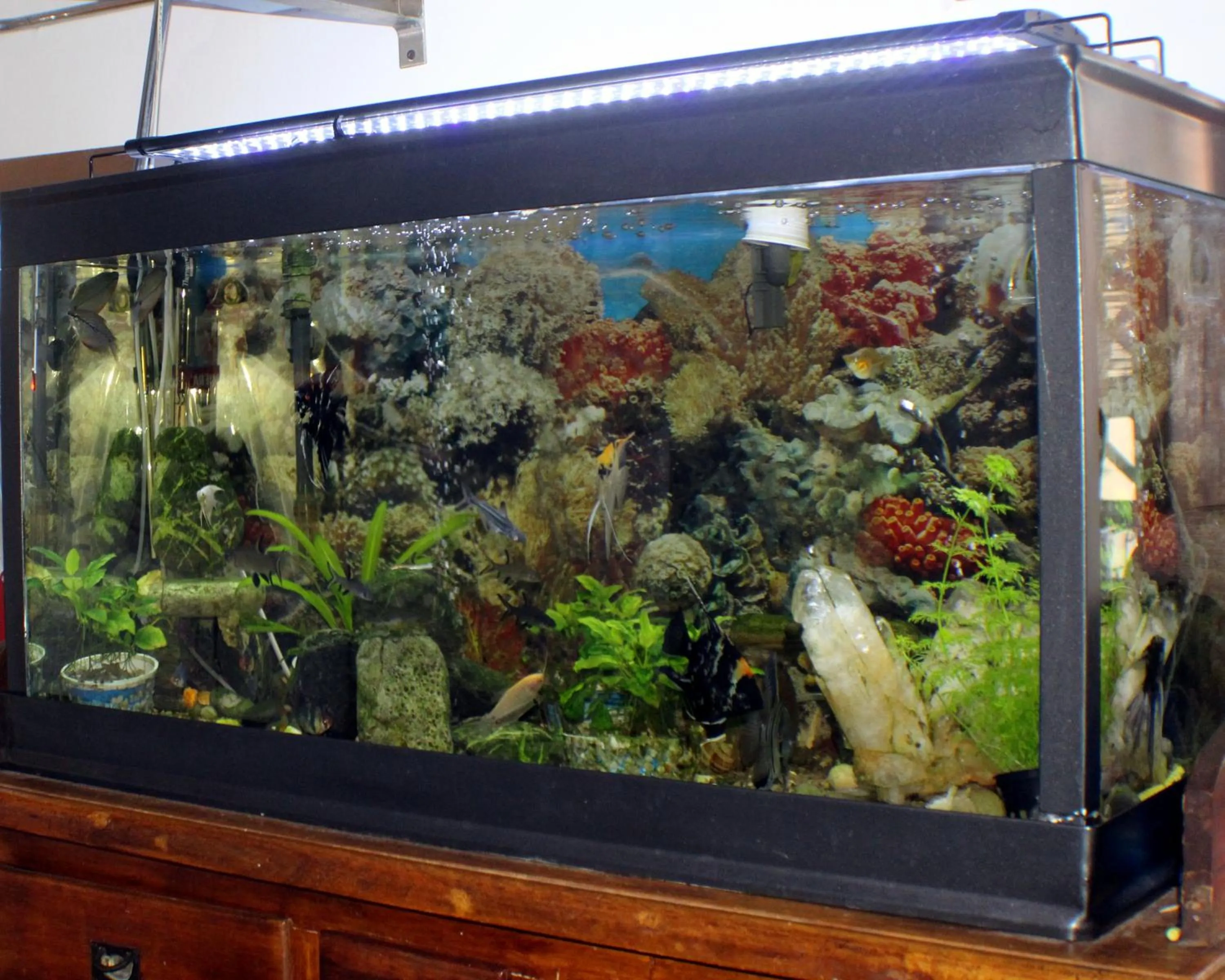 Communal kitchen in B&B Lili