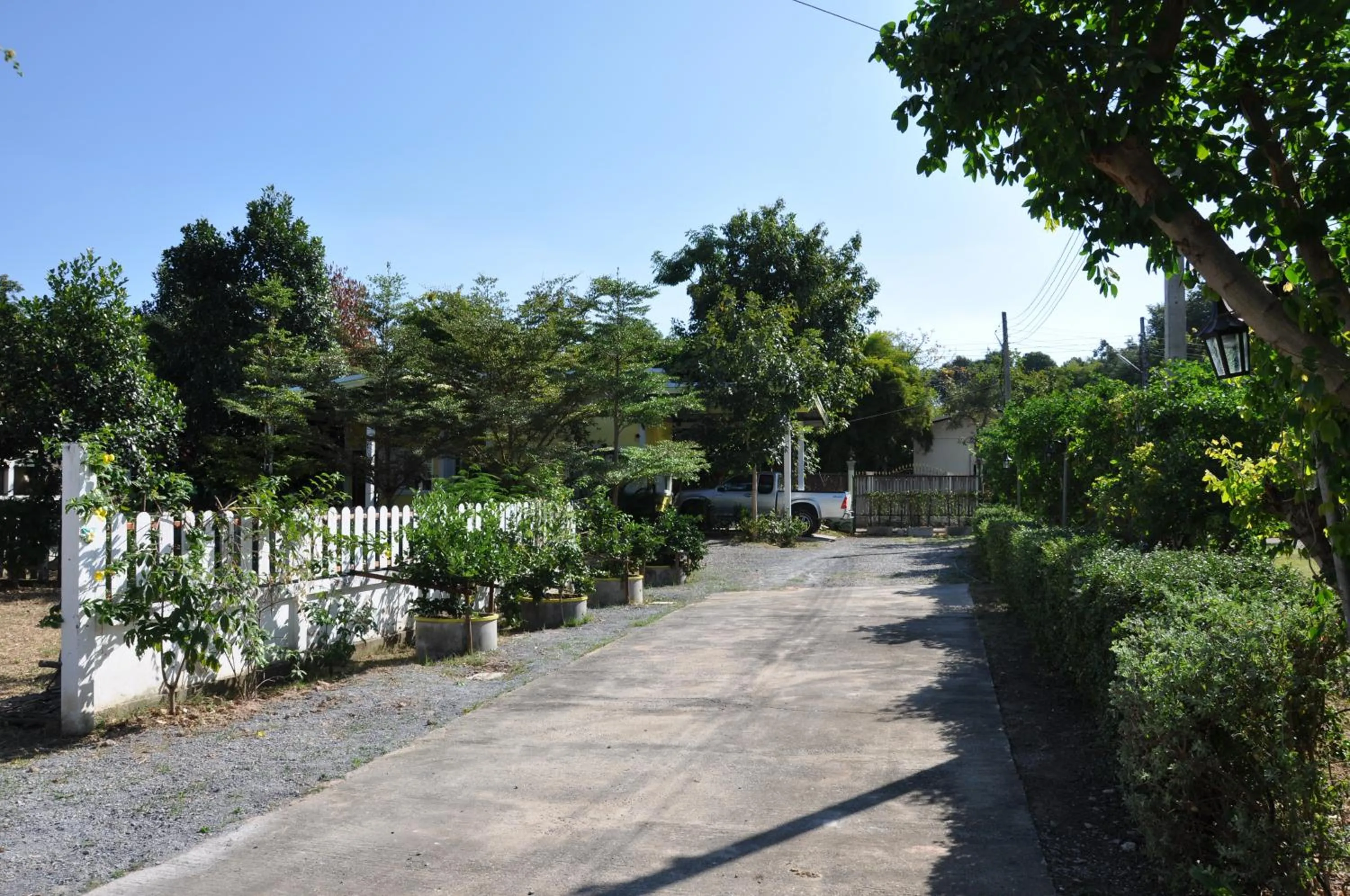 Natural landscape in Feel Good Resort