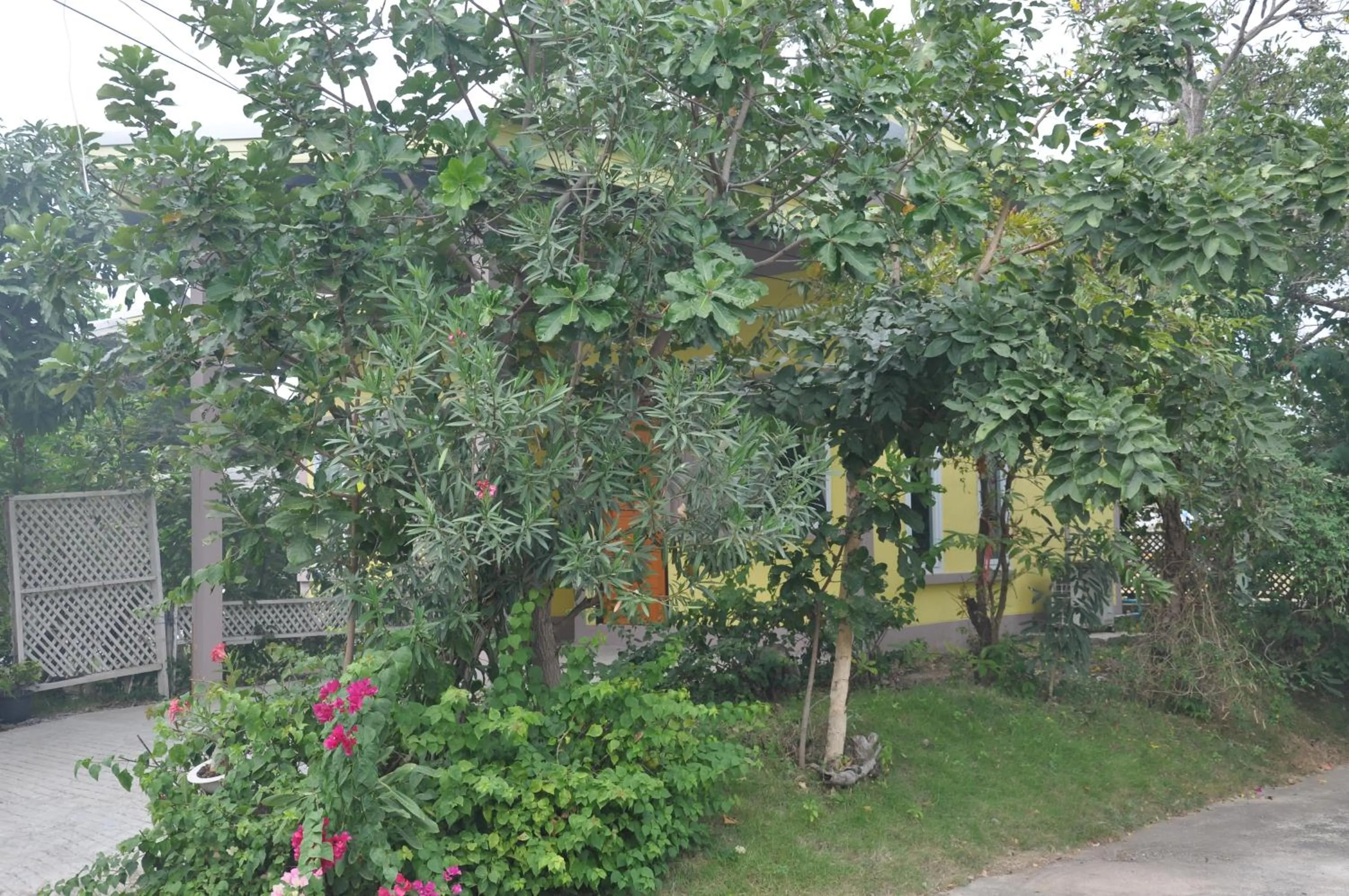 Garden in Feel Good Resort