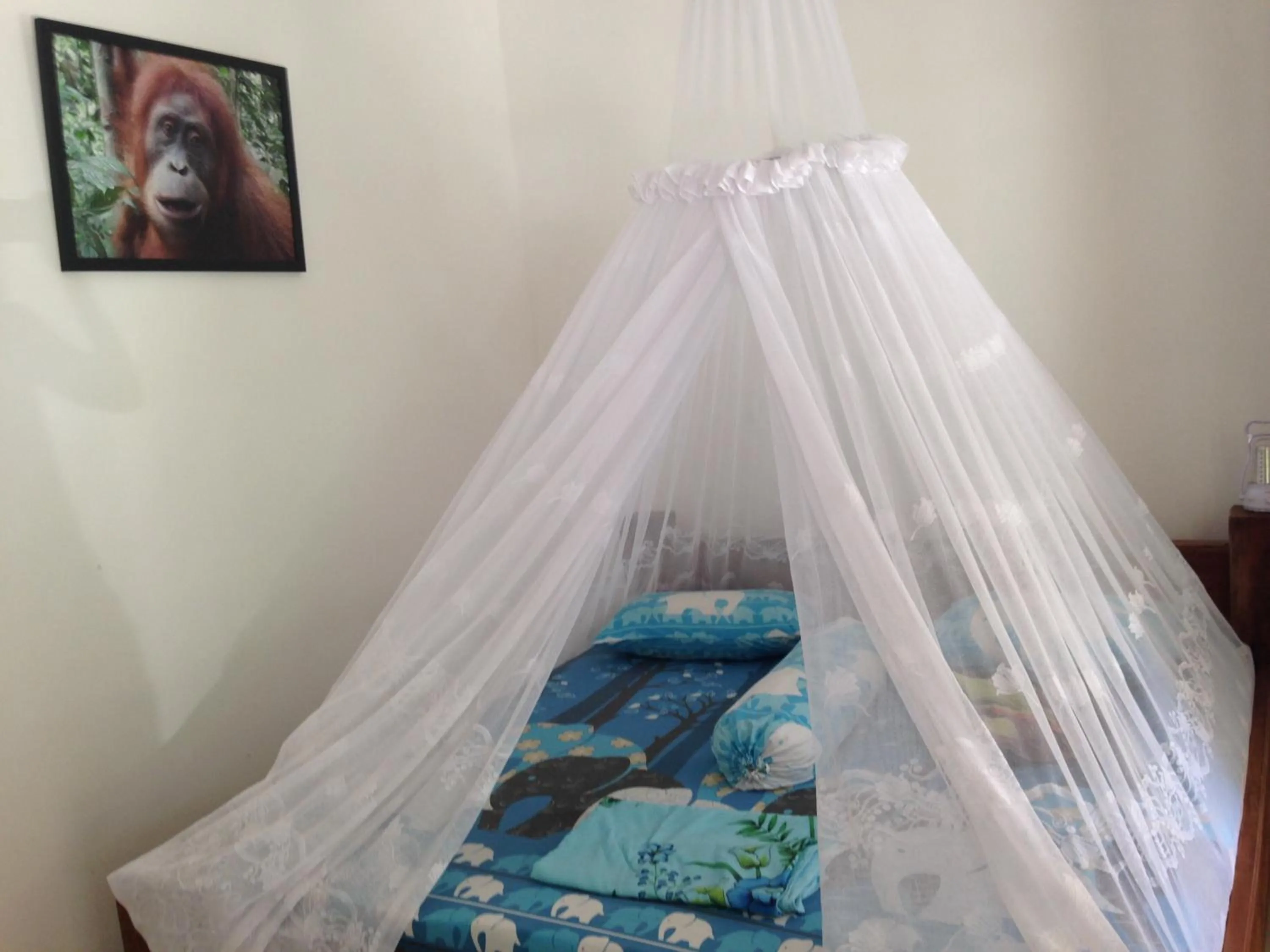 Staff, Bed in Riverside Guesthouse and Treks