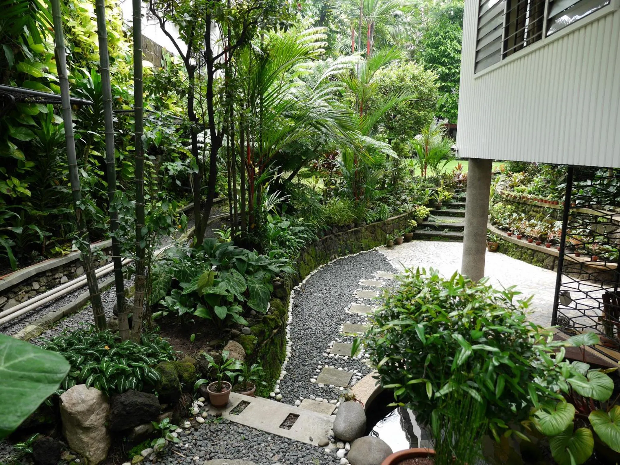 Garden in New Manila Suites