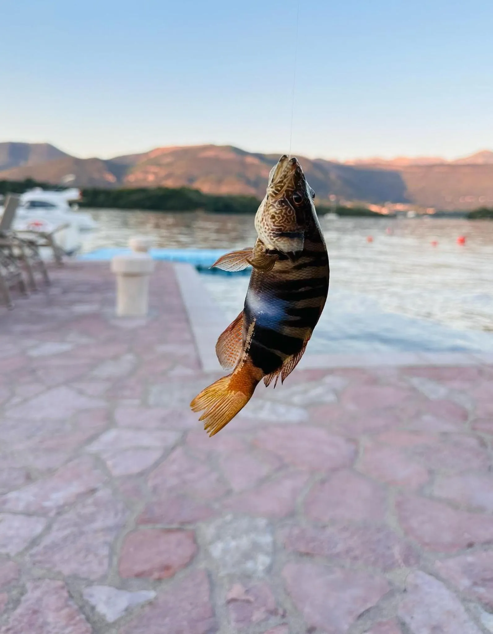 Fishing in Apart-hotel Villa Lav