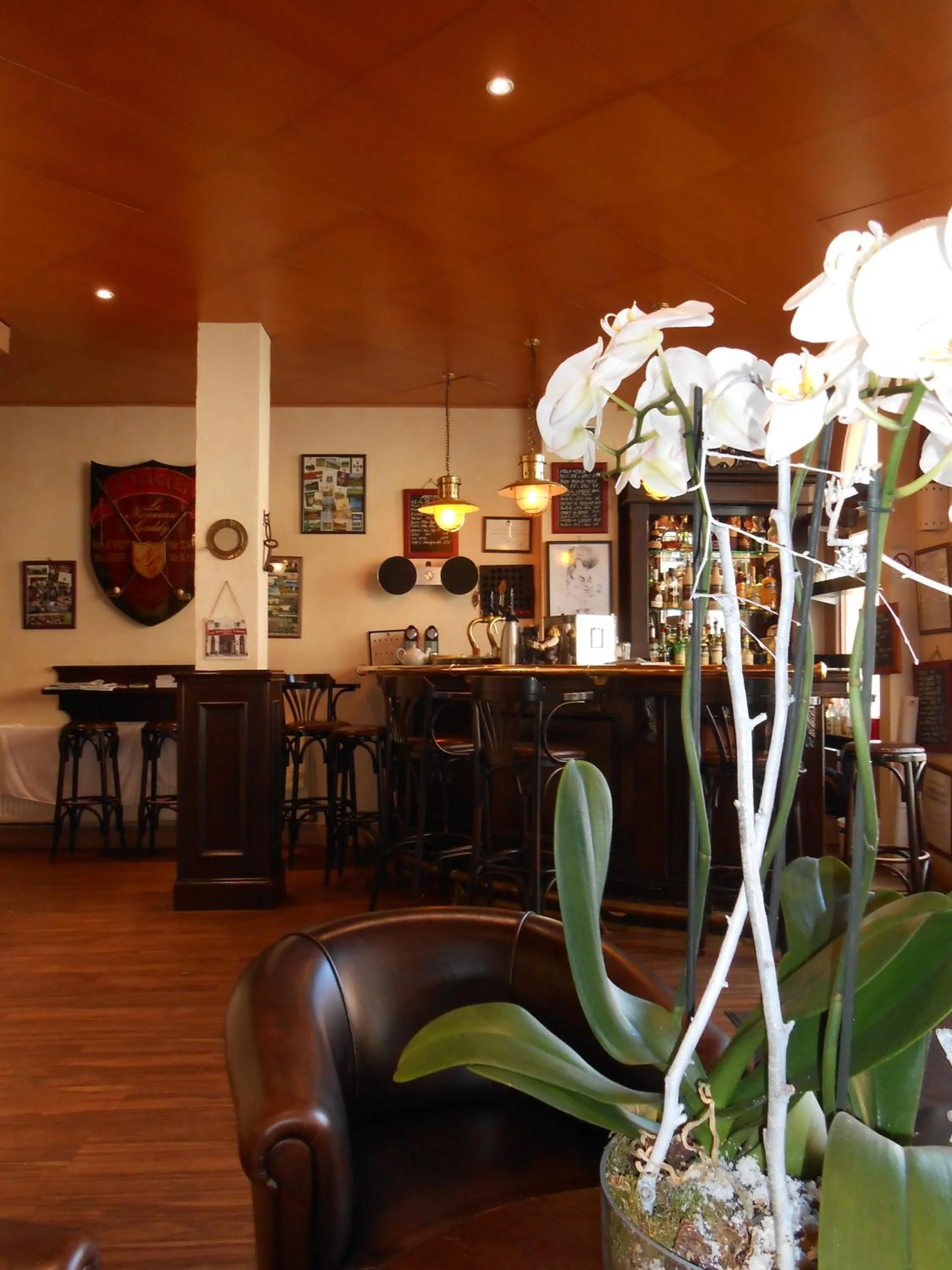 Lounge or bar in Hôtel Le Caddy