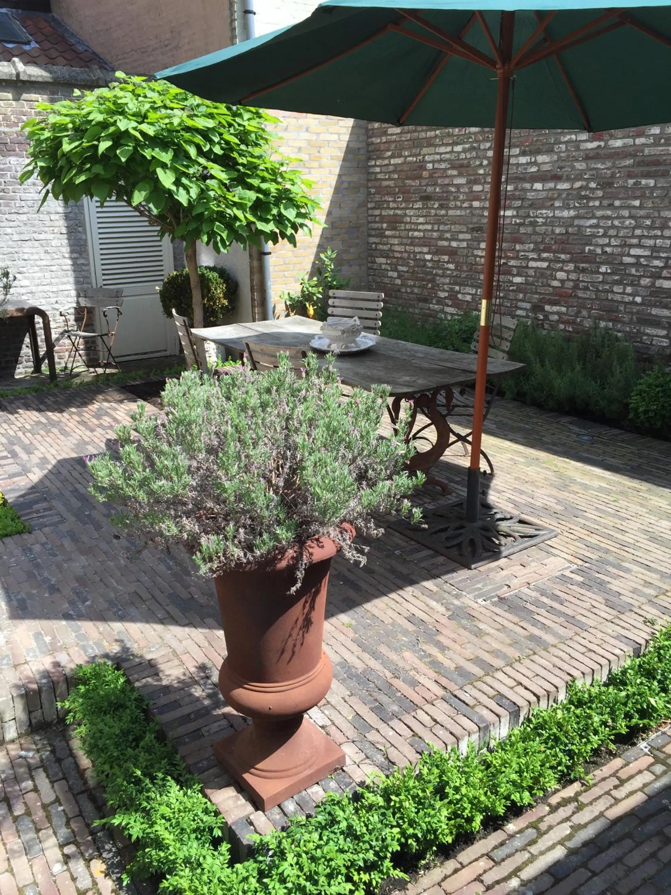 Patio in B&B 1669