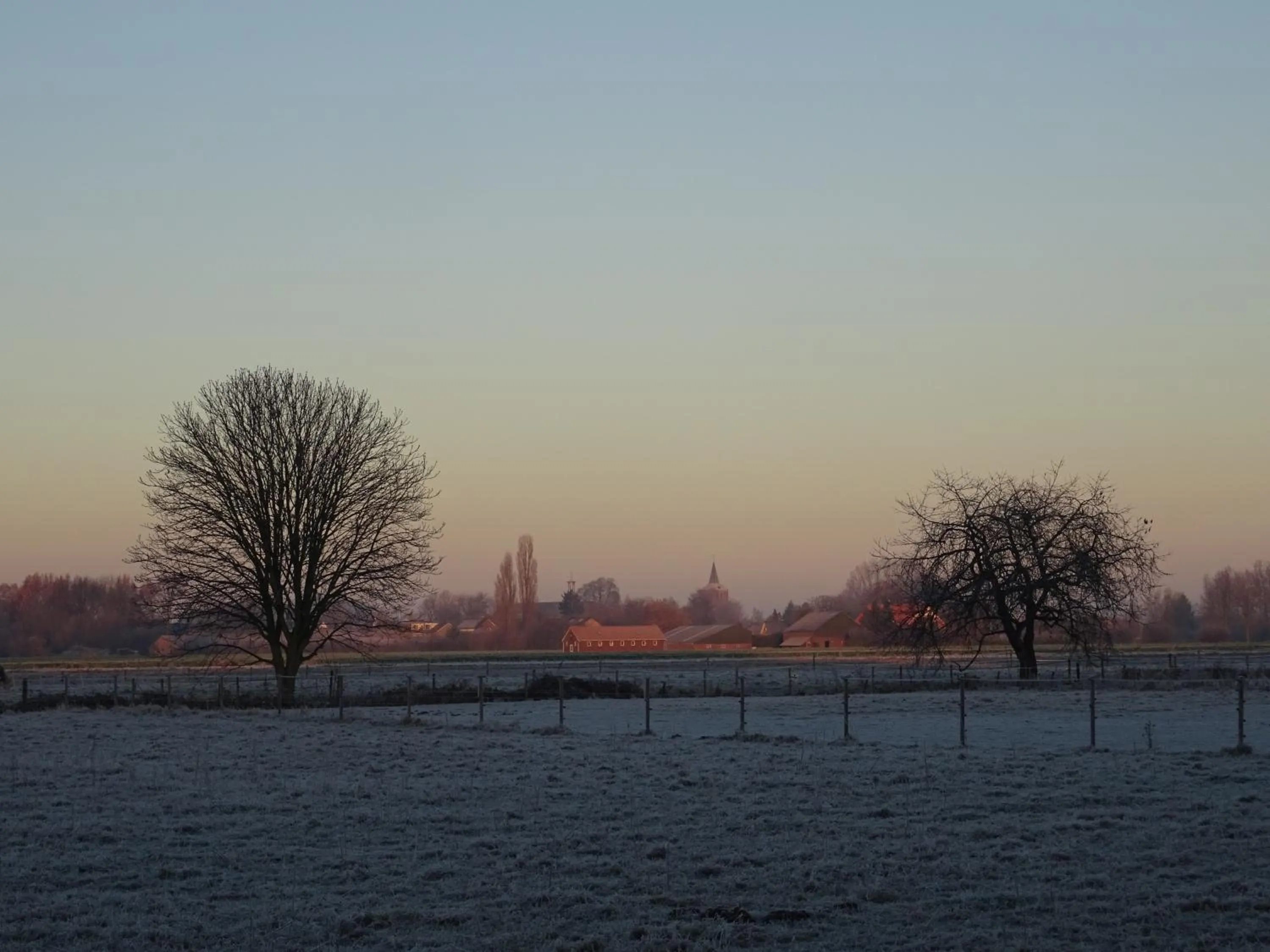 Winter in Bed and Breakfast Maas en Waal