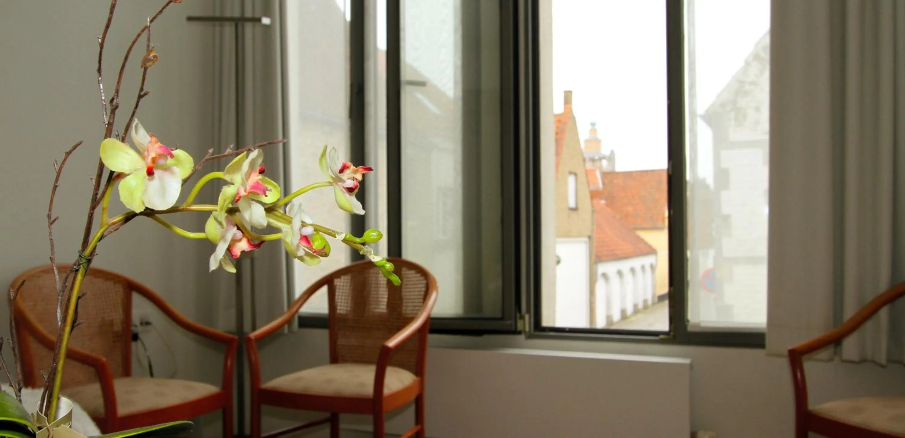 Street view in B&B 't Walleke