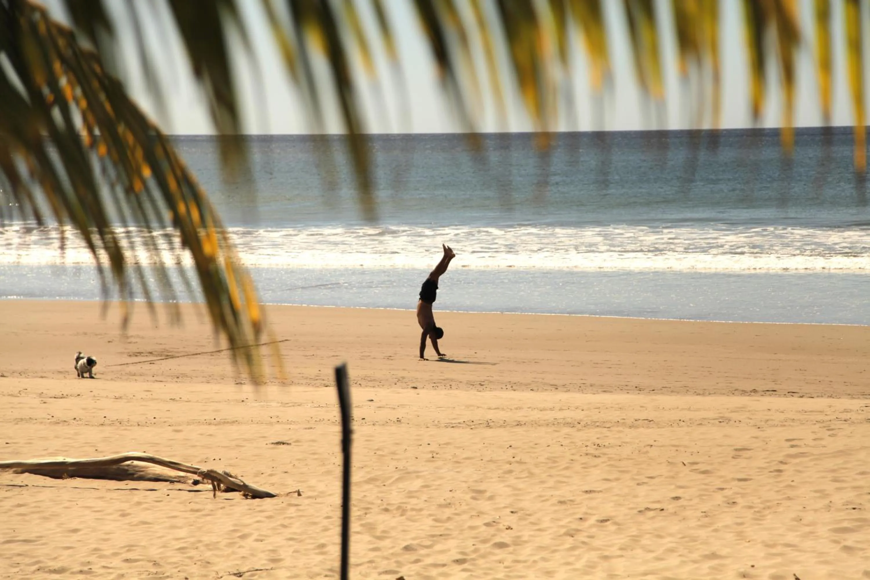 Activities in Casitas Pacific