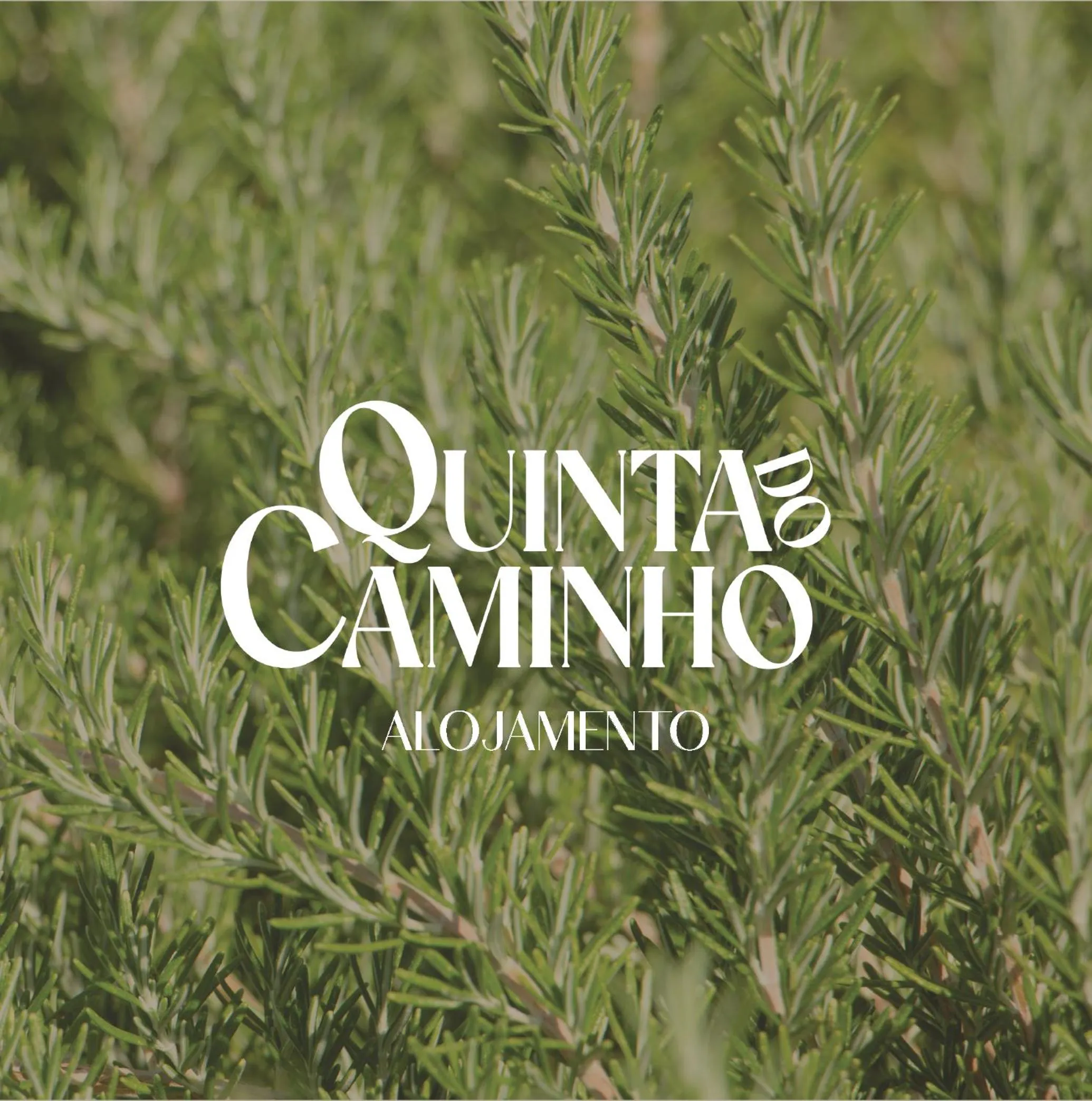 Logo/Certificate/Sign in Quinta do Caminho, AL