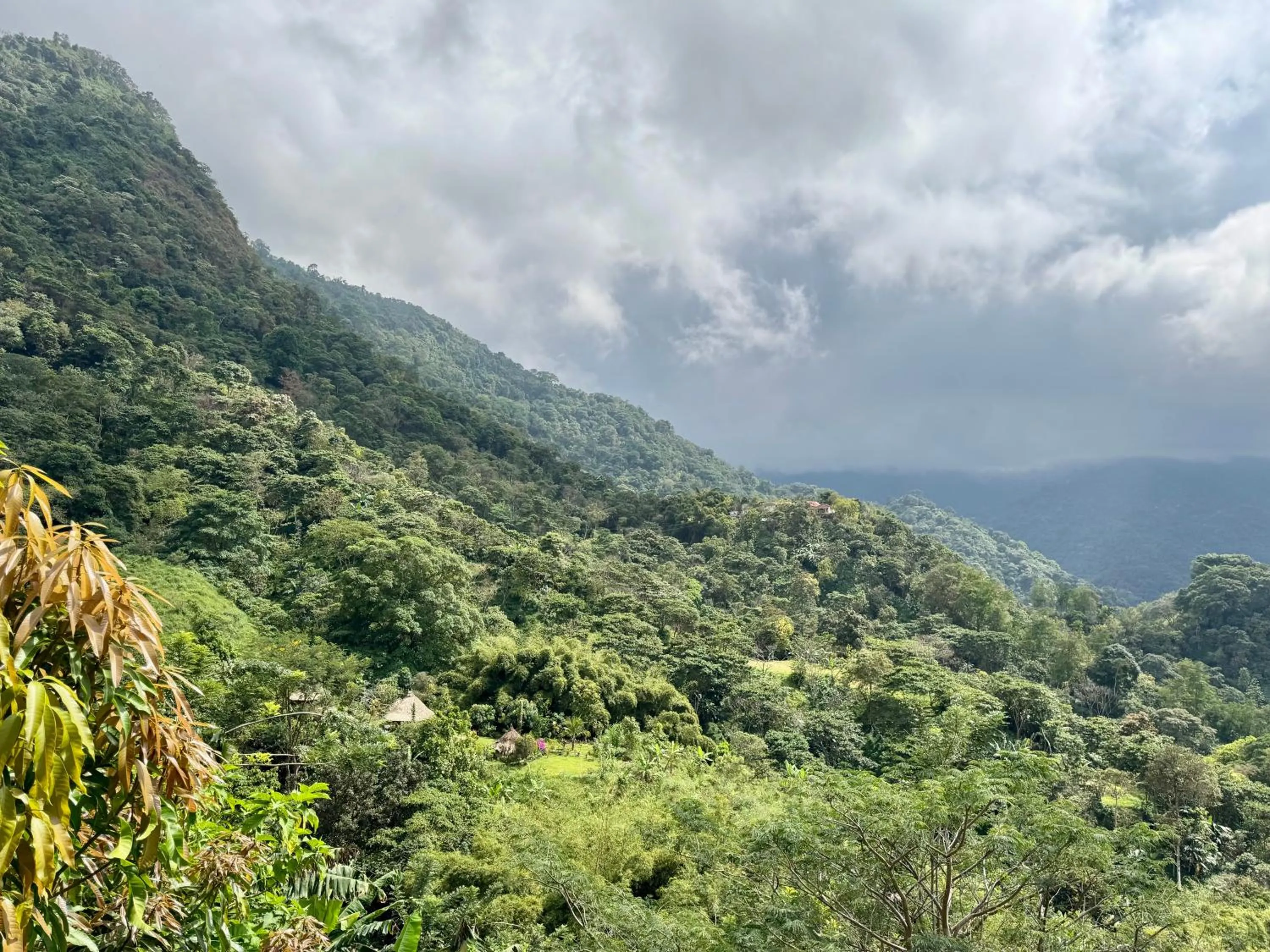 View (from property/room) in Mundo Nuevo ECO LODGE