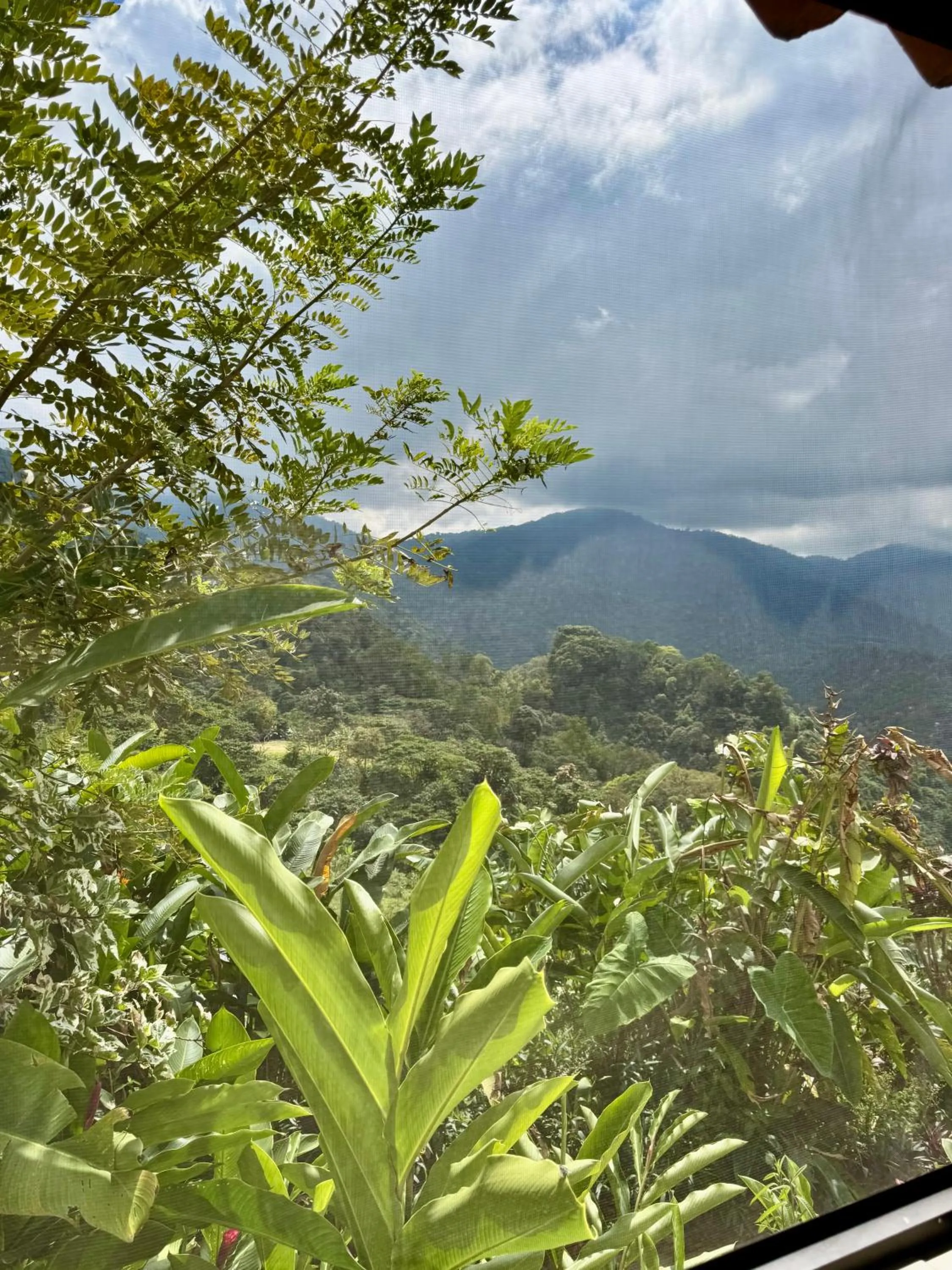 Mountain view in Mundo Nuevo ECO LODGE