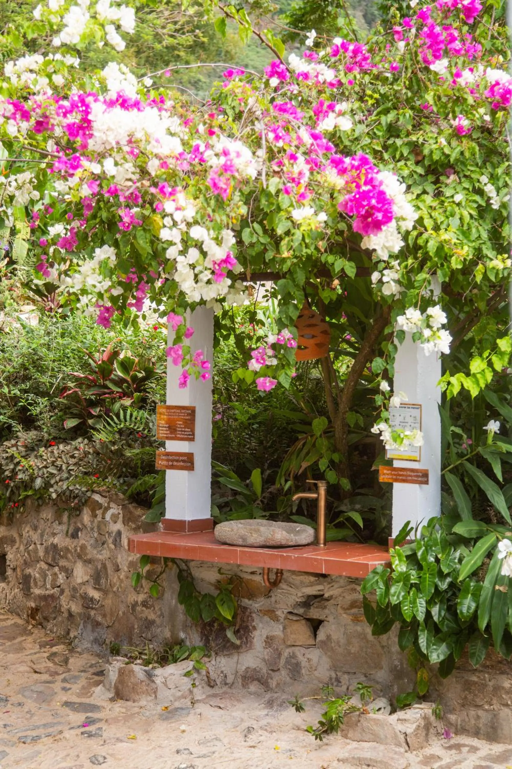 Garden in Mundo Nuevo ECO LODGE