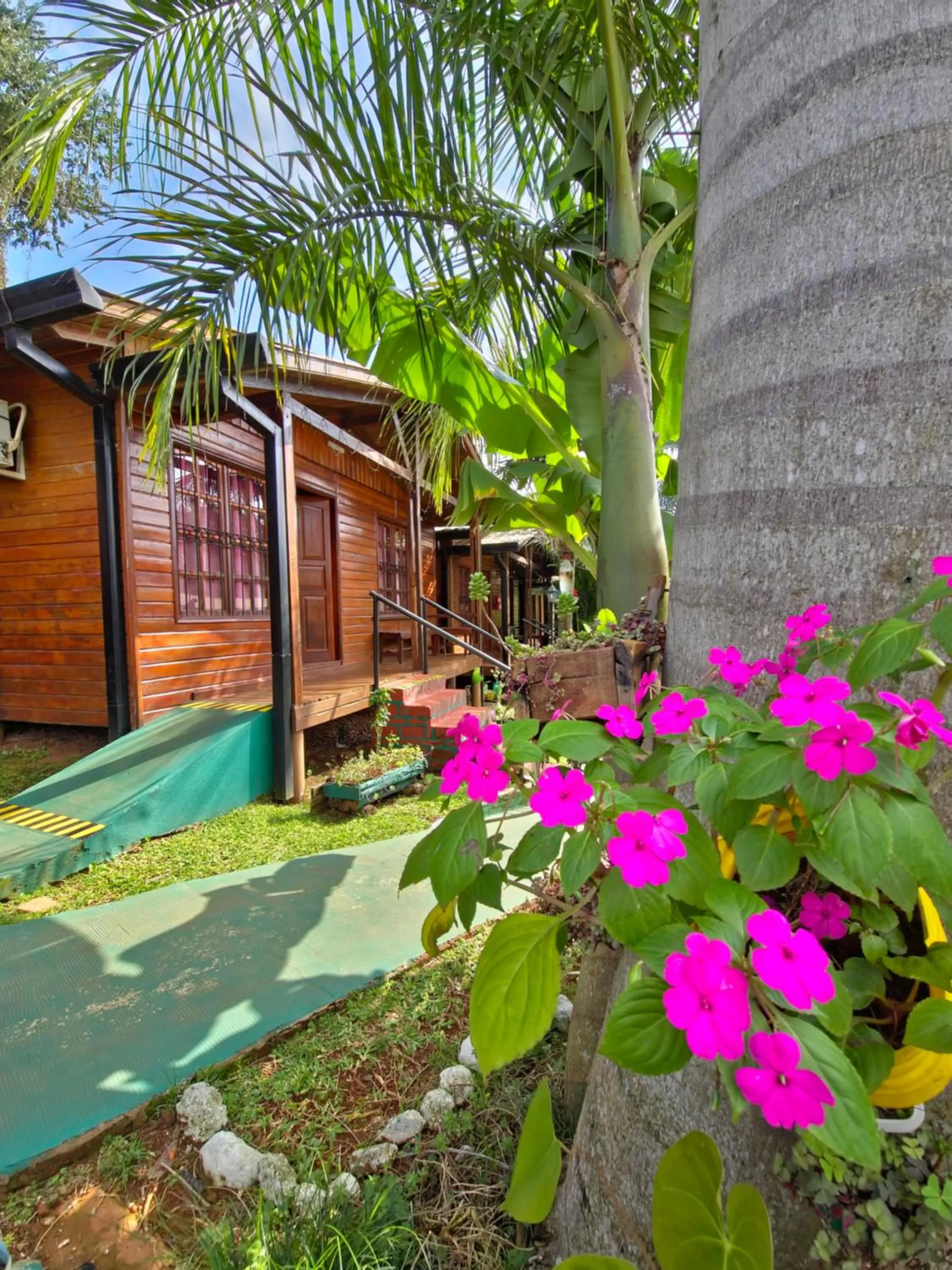 Spring in Terra Iguazú Cabañas