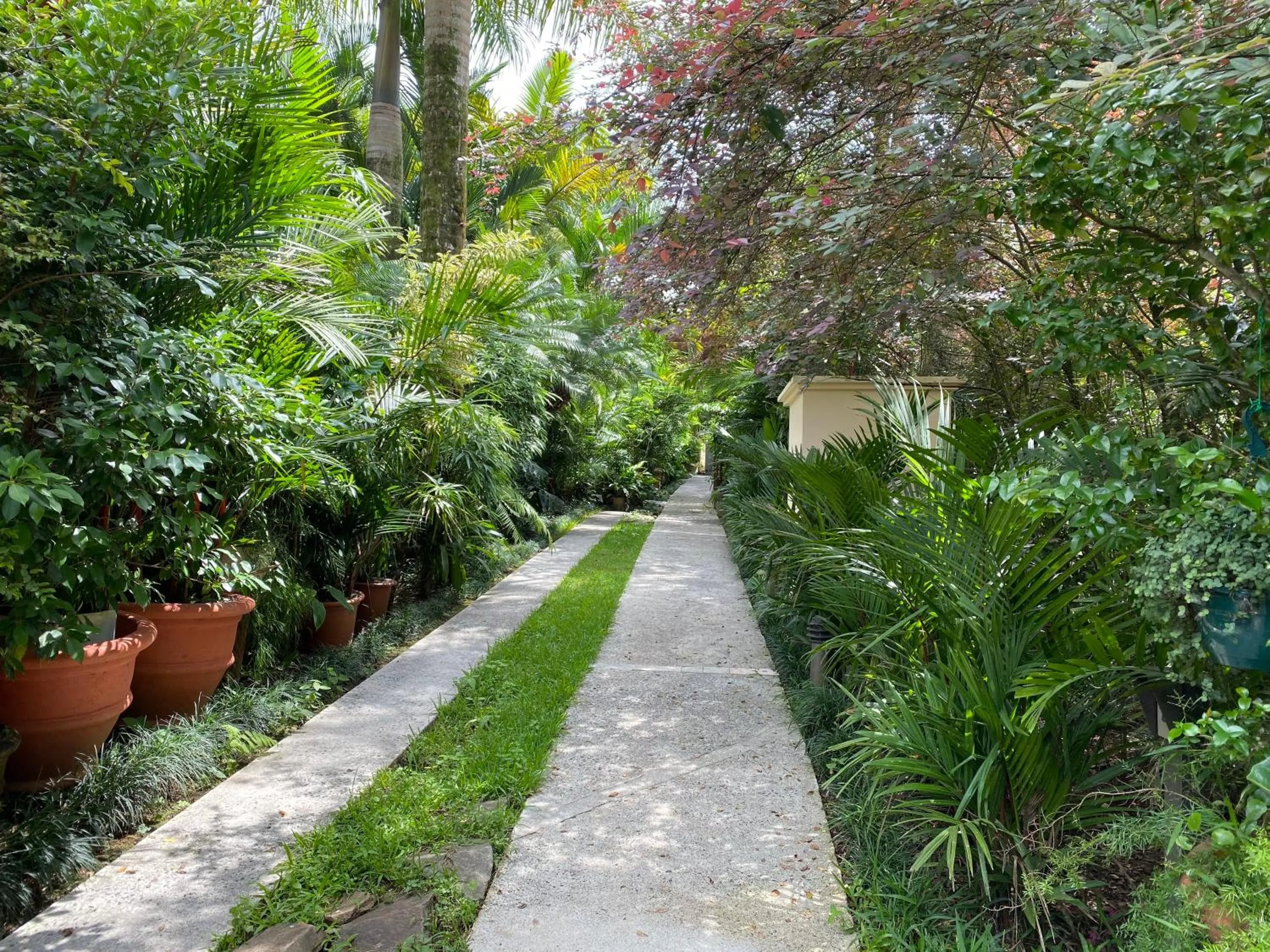 Garden in Paradise Hot Springs - Thermal Water & Volcano Views