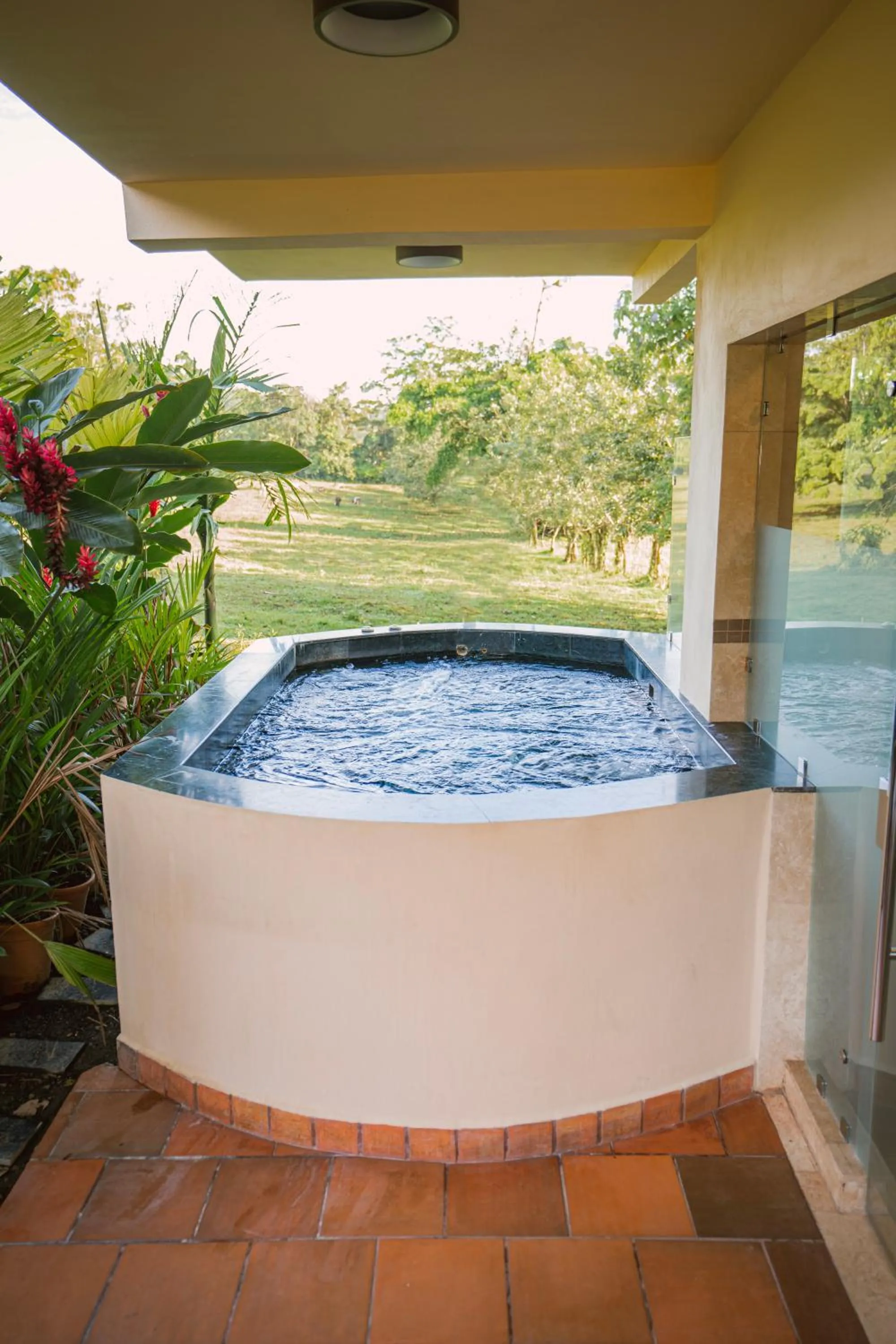 View (from property/room) in Paradise Hot Springs - Thermal Water & Volcano Views