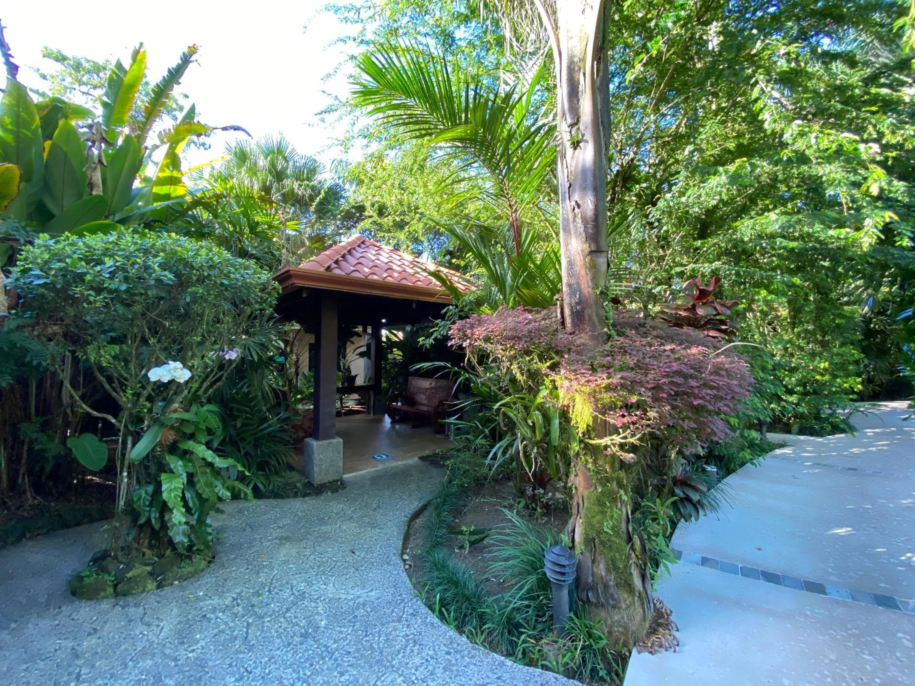 Garden in Paradise Hot Springs - Thermal Water & Volcano Views