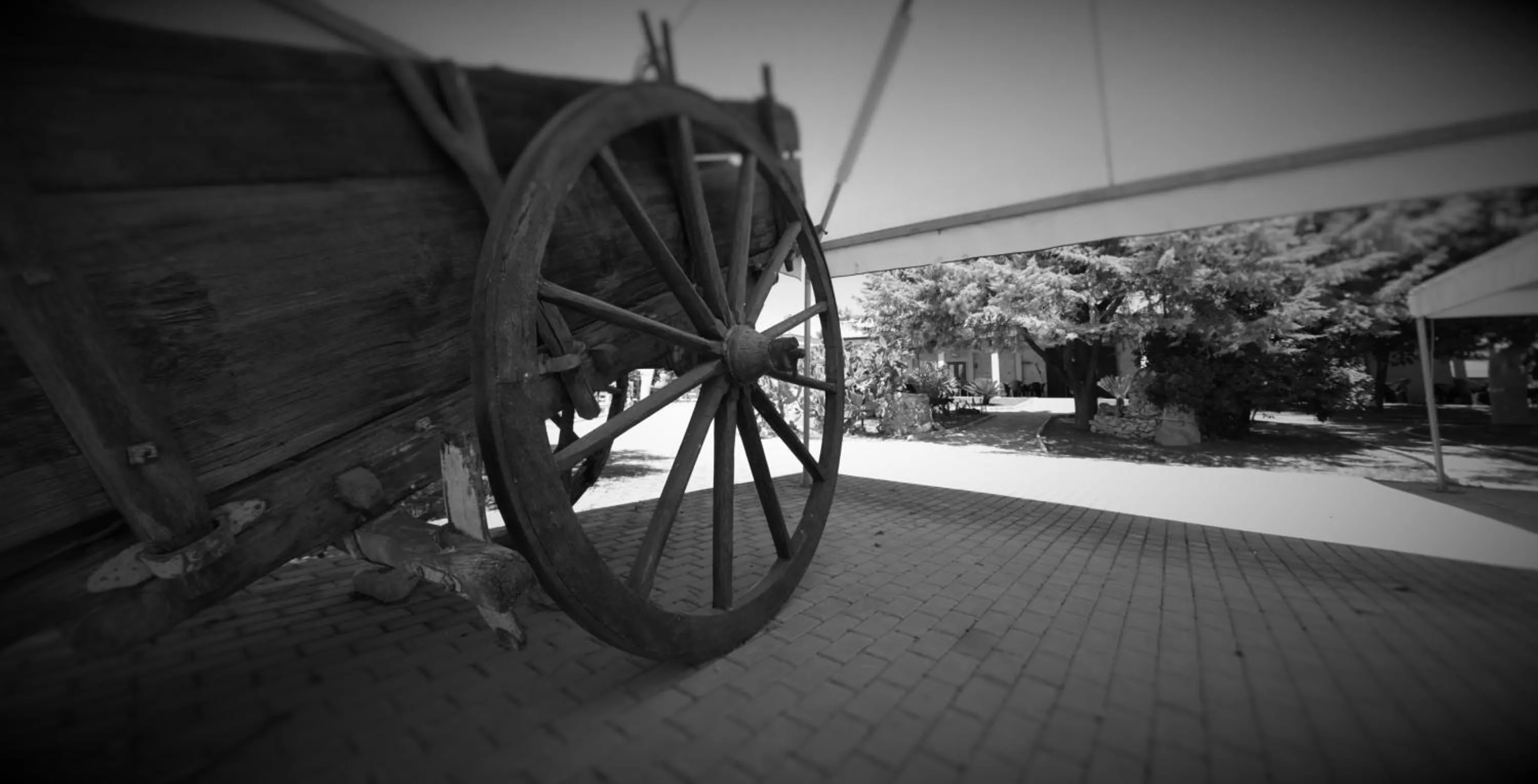 Other in Agriturismo Le Matinelle