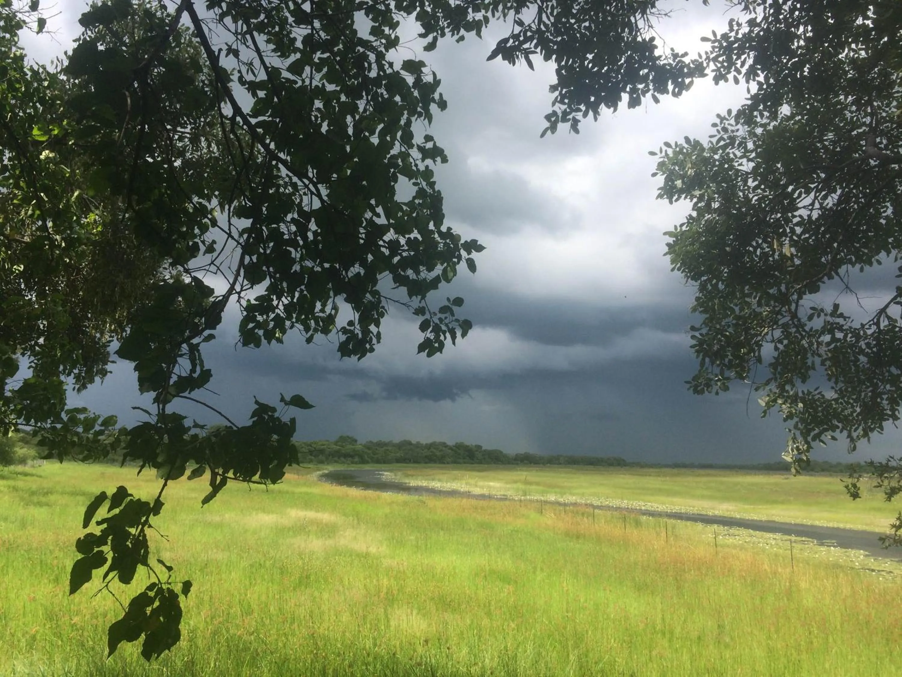 River view in Island Safari Lodge