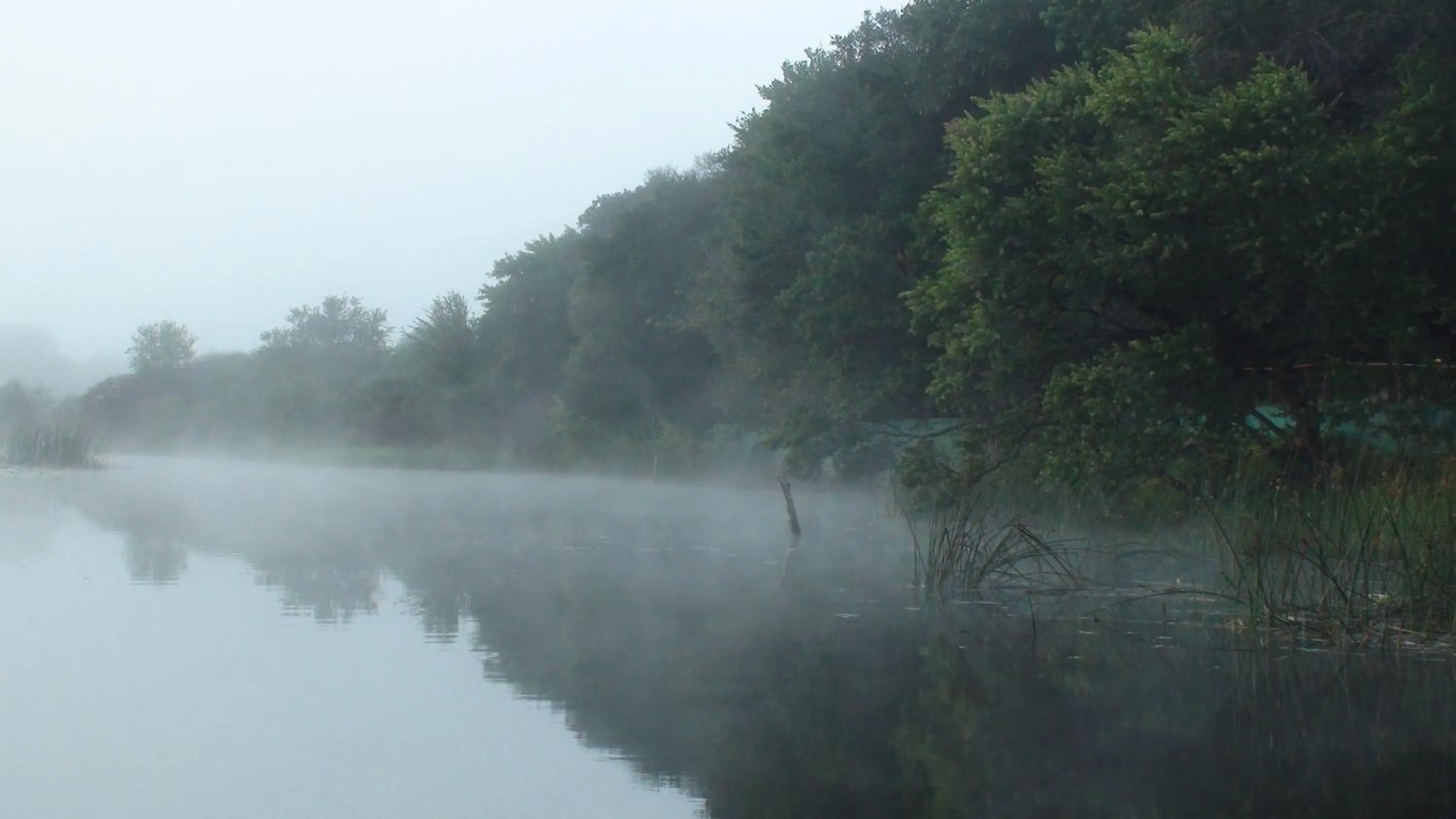 Natural landscape in Island Safari Lodge